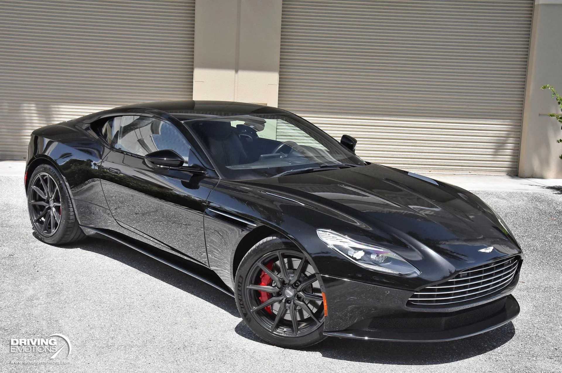 mph048_1681015525_861_p49_l_7ca9984708