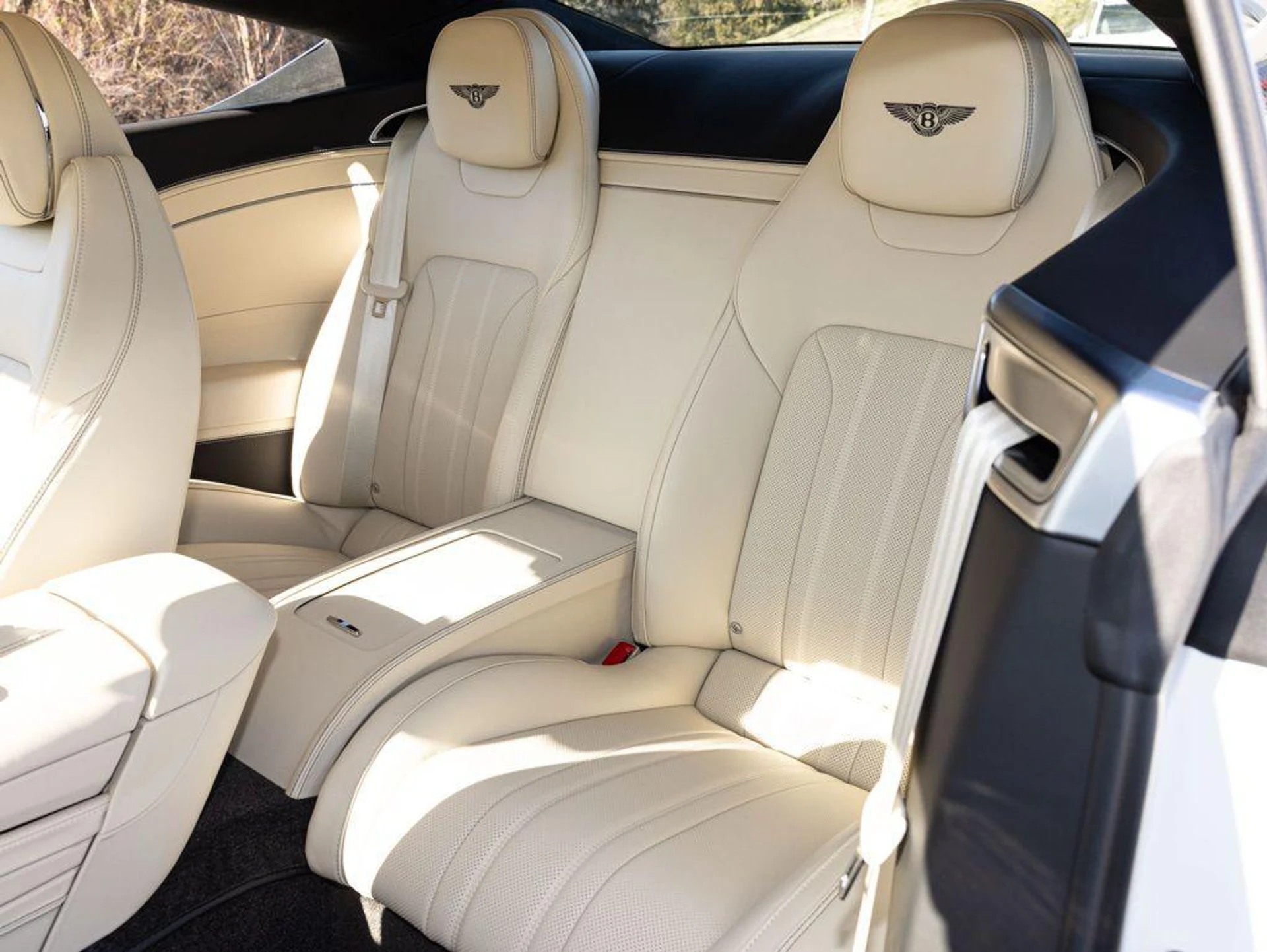 mph048_173712747_499141765_69a452fc0431bab765b4b424_b361f9eae5