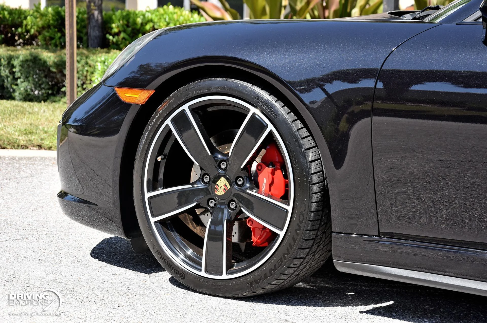 mph048_1740962343_868_p49_l_339ffccfbd