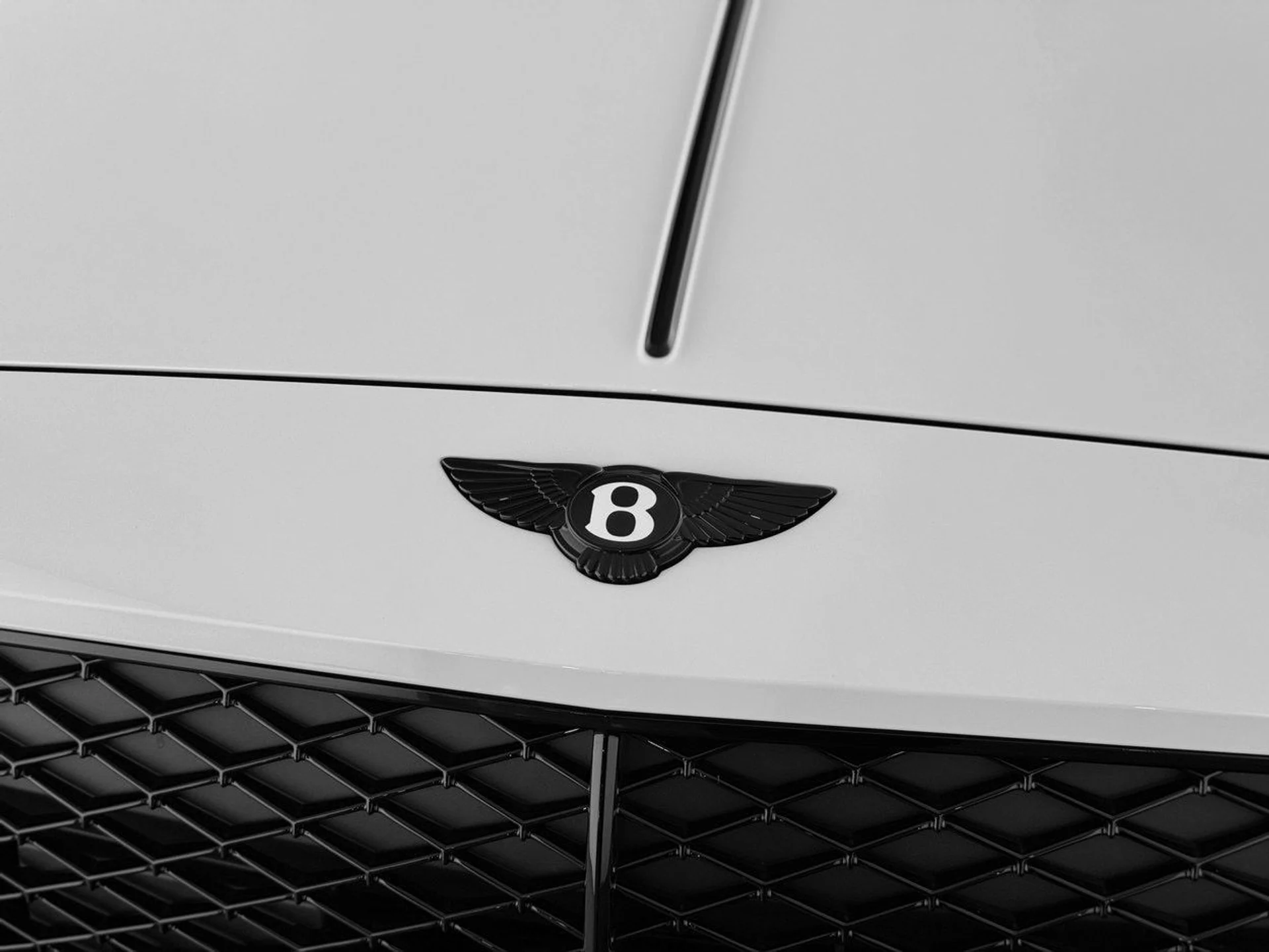 mph048_1766329930_a8894134240950b4a3083fa94f312b09x_6d95b45336