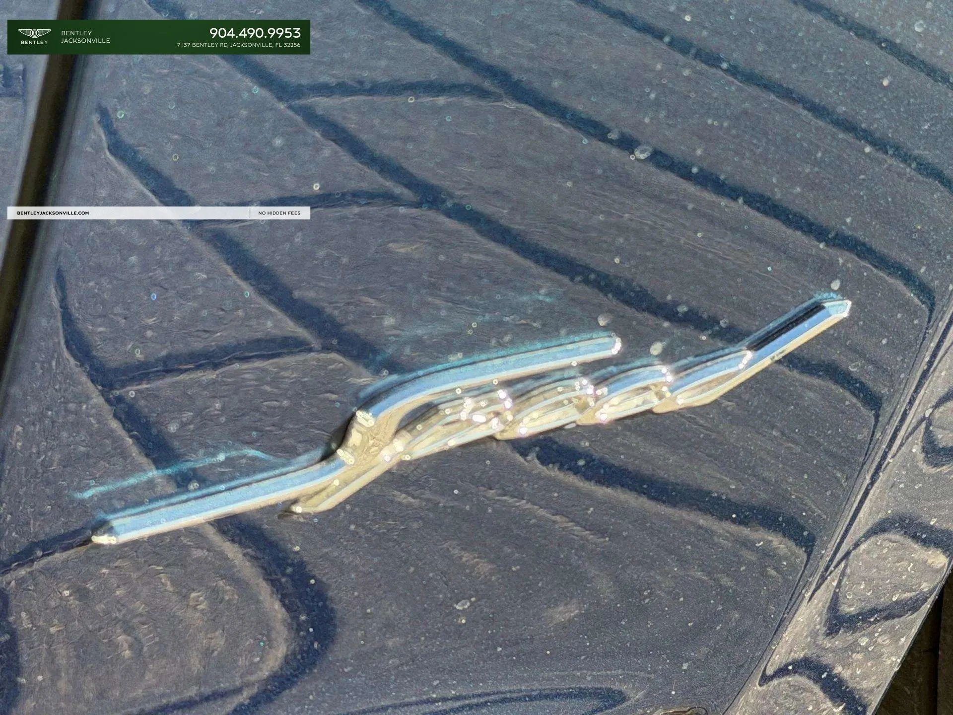 mph048_1810611046_ff870a12757e42739659e41d0ca93801_556c2bb0de