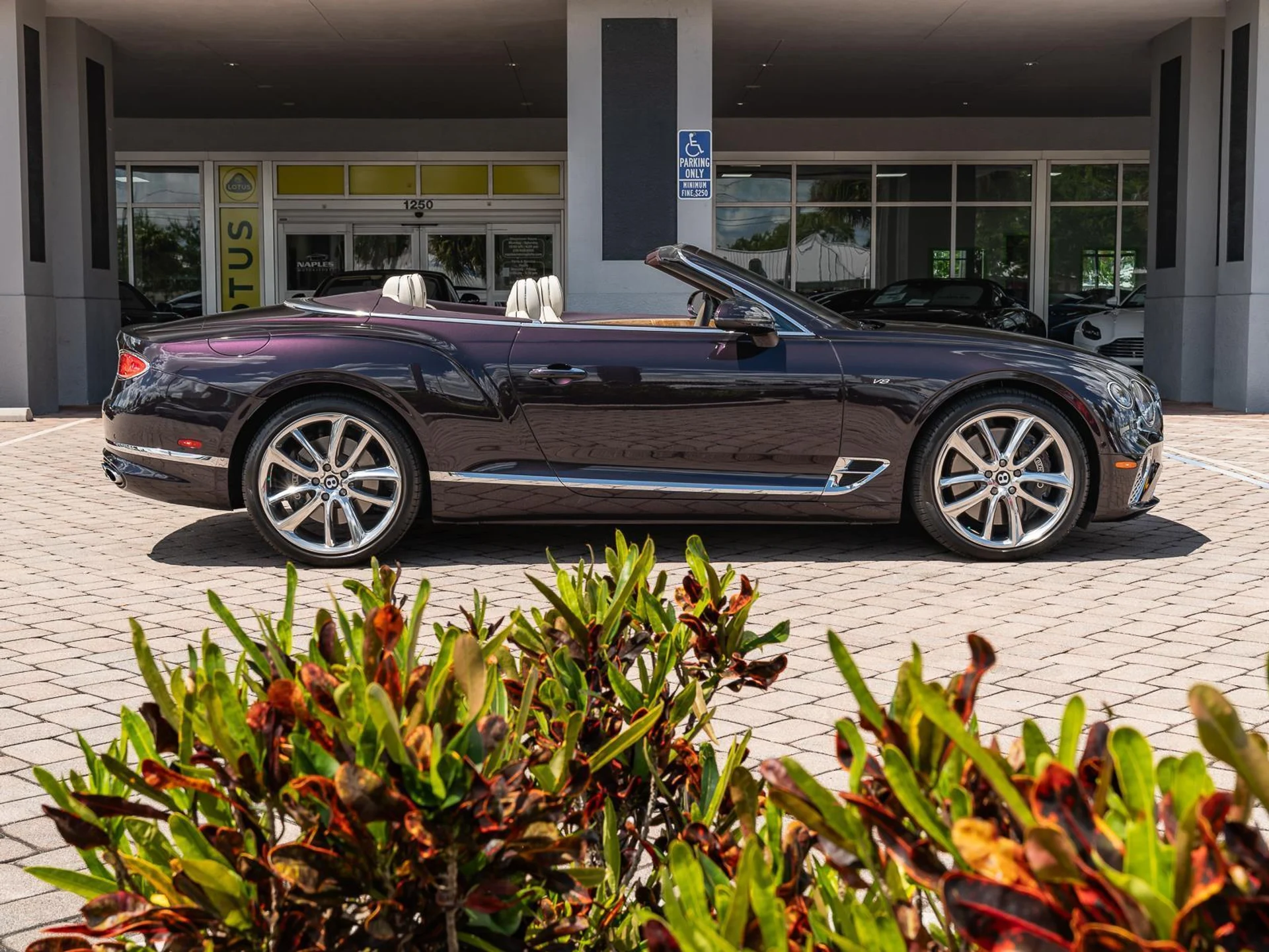 mph048_1815038890_Used_2022_Bentley_Continental_GT_Mulliner_1774645992_524da1b5c6