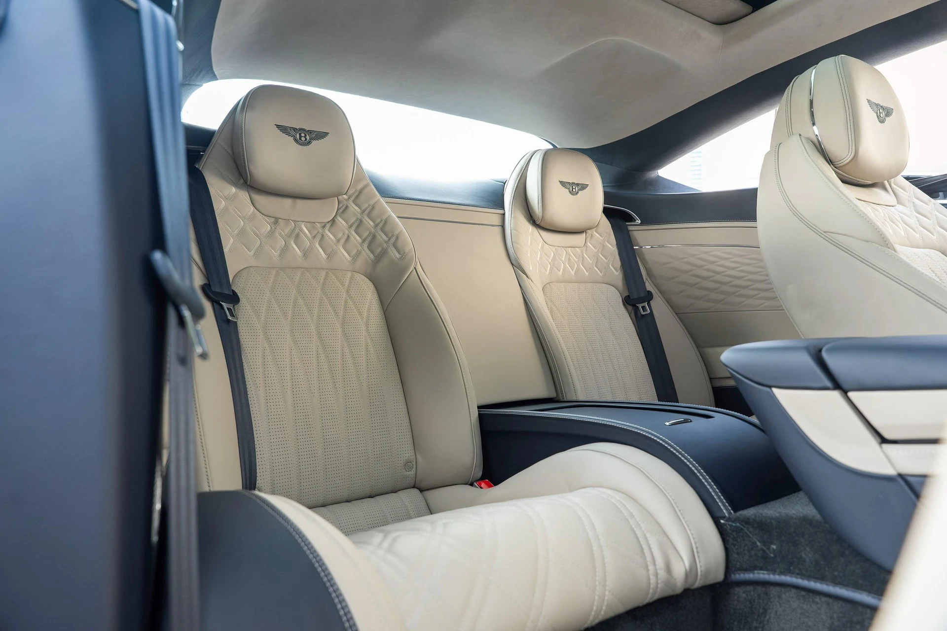 mph048_1827224470_470961999_692009edaf5727c8024d821e_6ada213983