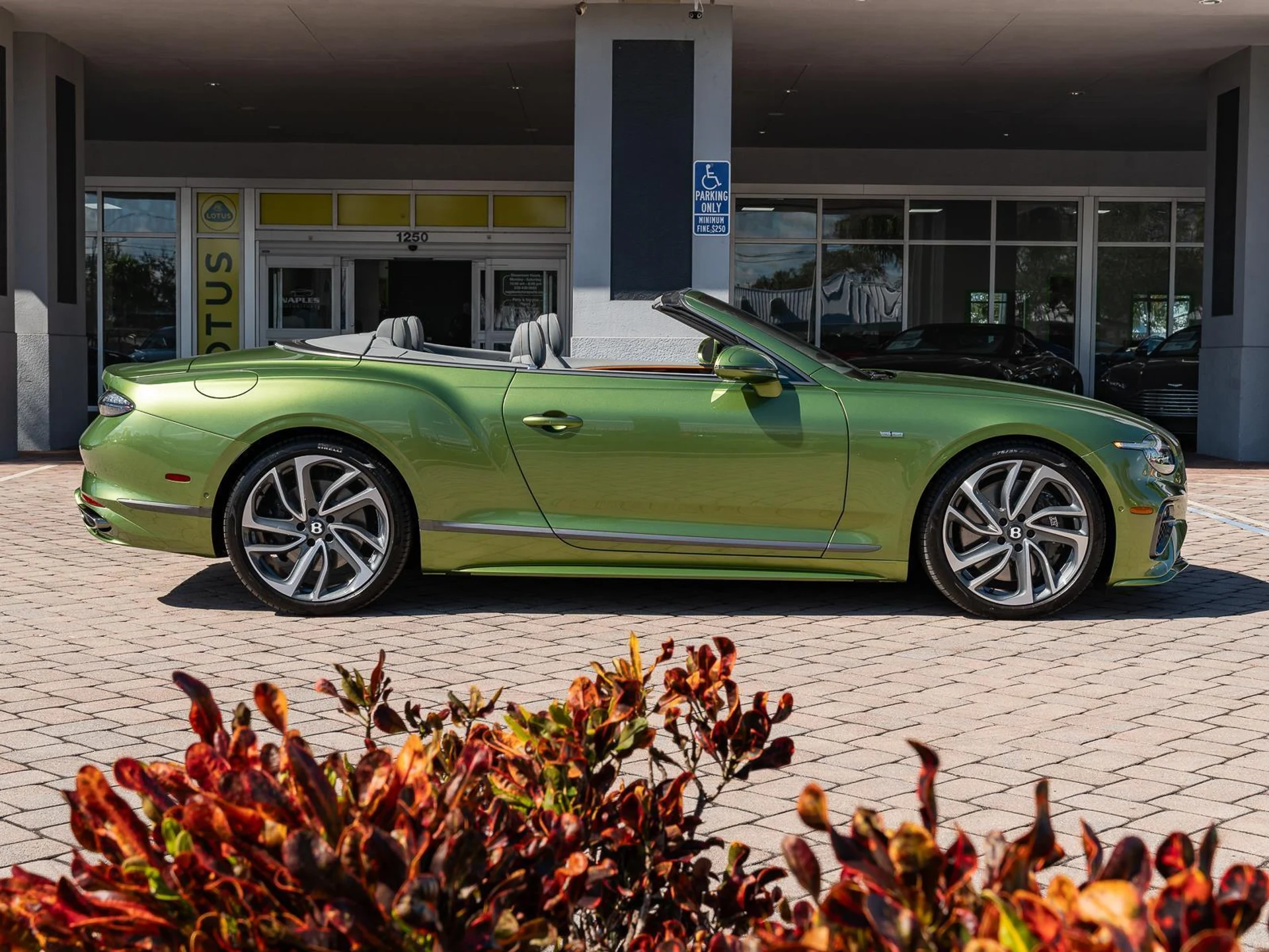 mph048_1920703598_Used_2025_Bentley_Continental_GT_Speed_1770806132_7d904bfc8d