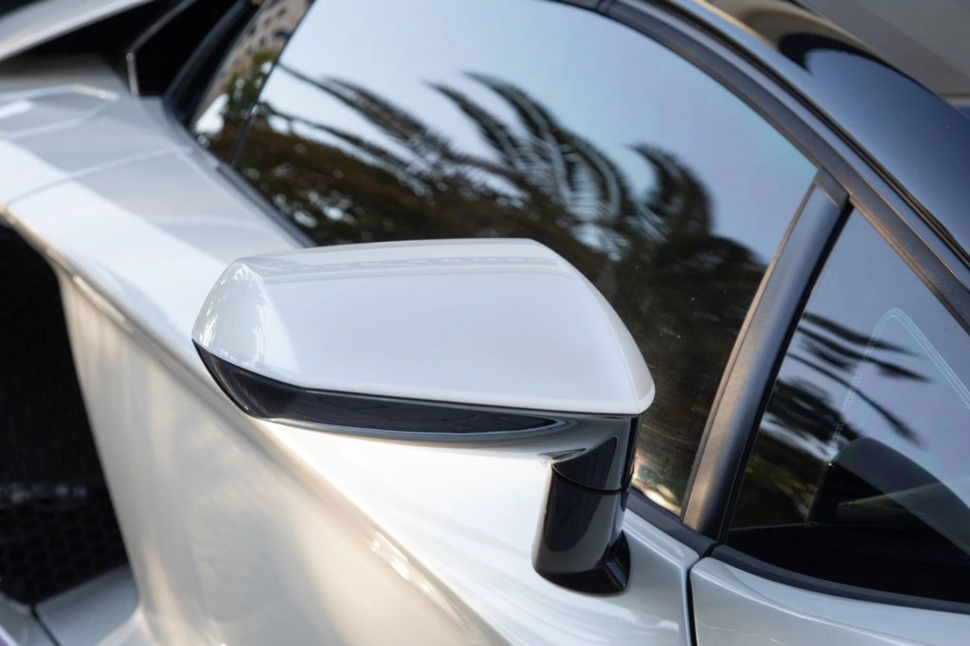 mph048_1971666785_22368666_49_1024_5c4182be64