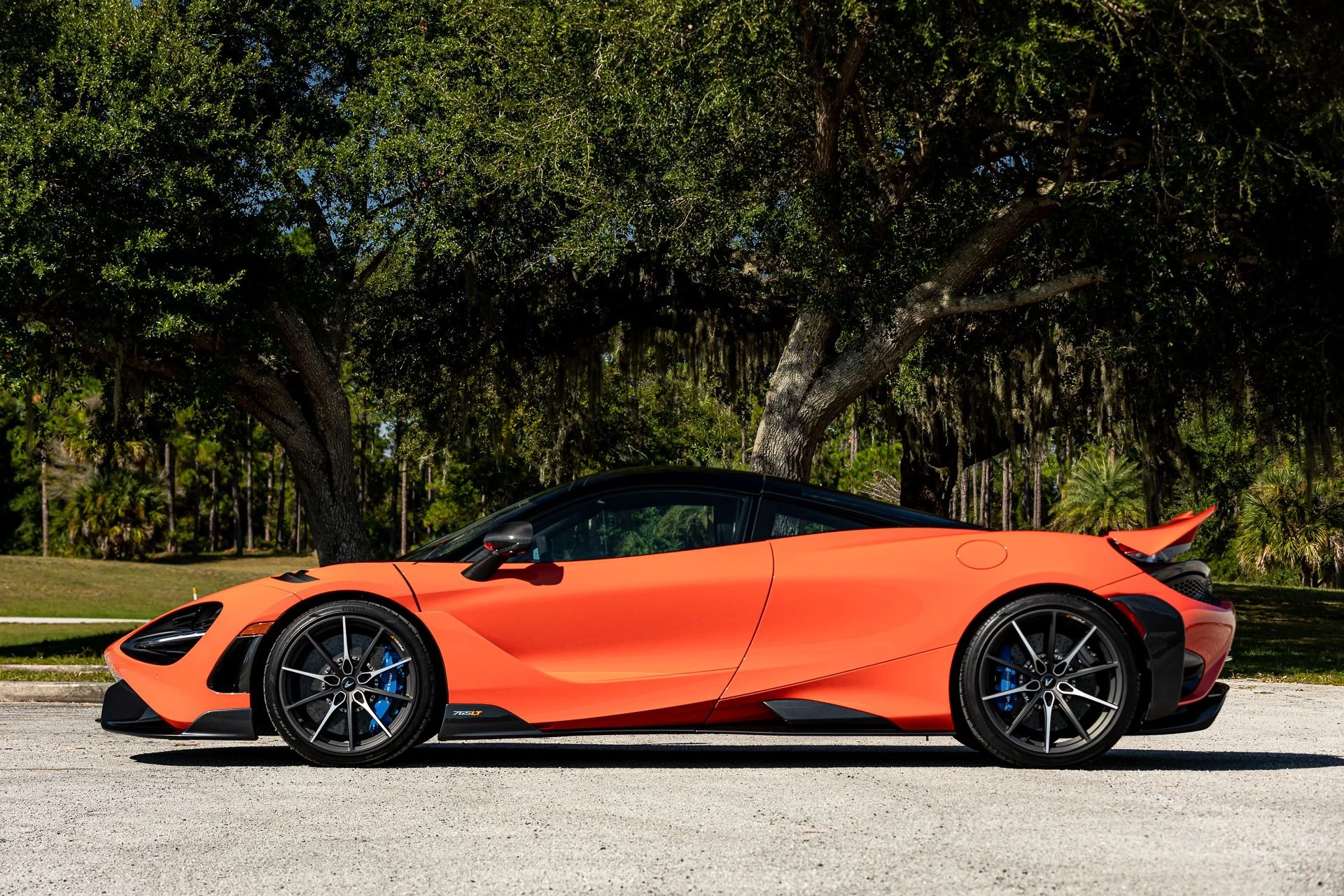 mph048_2446029972_249_p49_l_159581ccdd