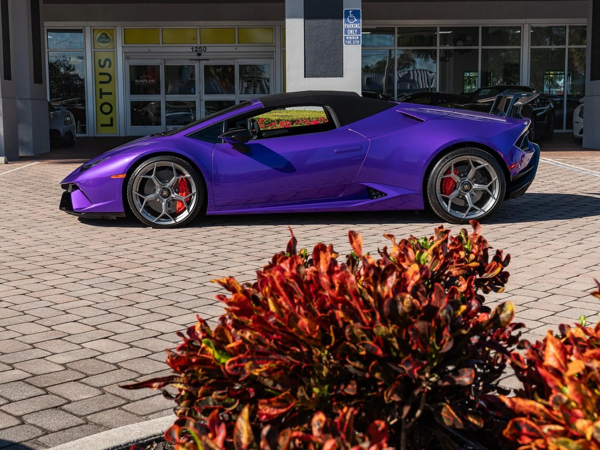 mph048_2759407484_Used_2019_Lamborghini_Huracan_Performante_1766430441_10aef6d247