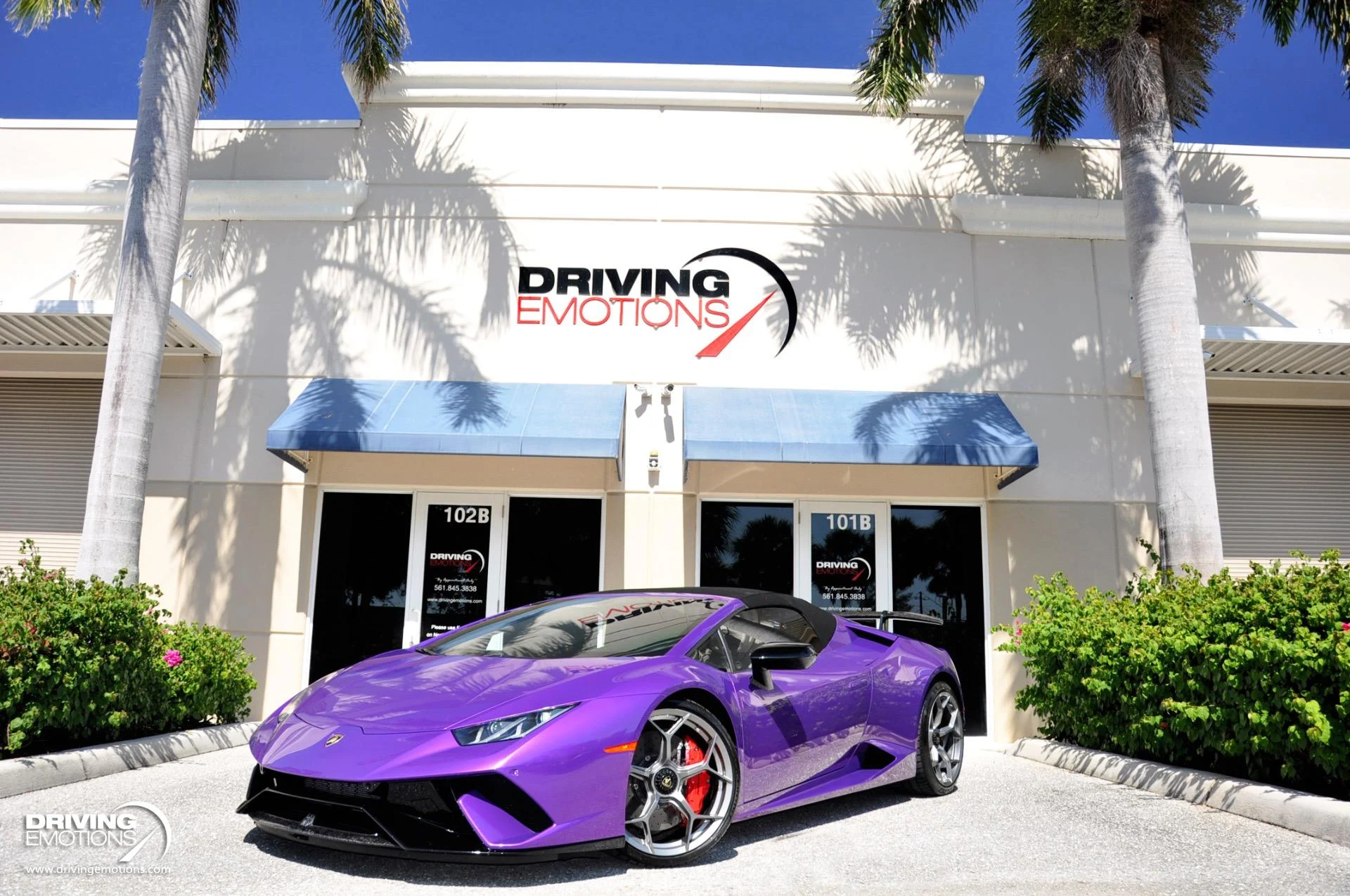 mph048_2854915563_863_p49_l_cfda8a3a2b