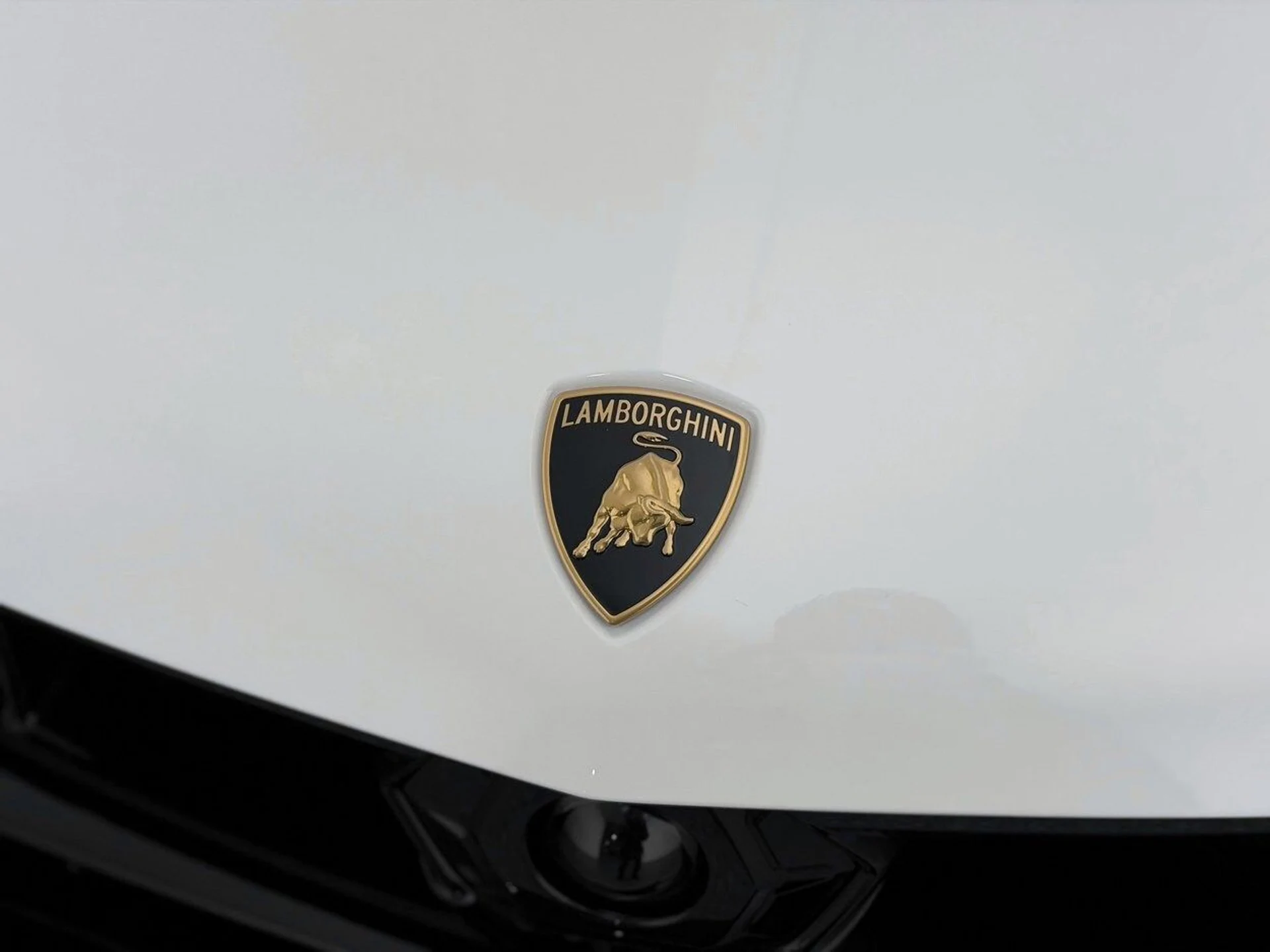 mph048_2952068077_38c46052623f134bff8a40c647338e0fx_13c0344a85