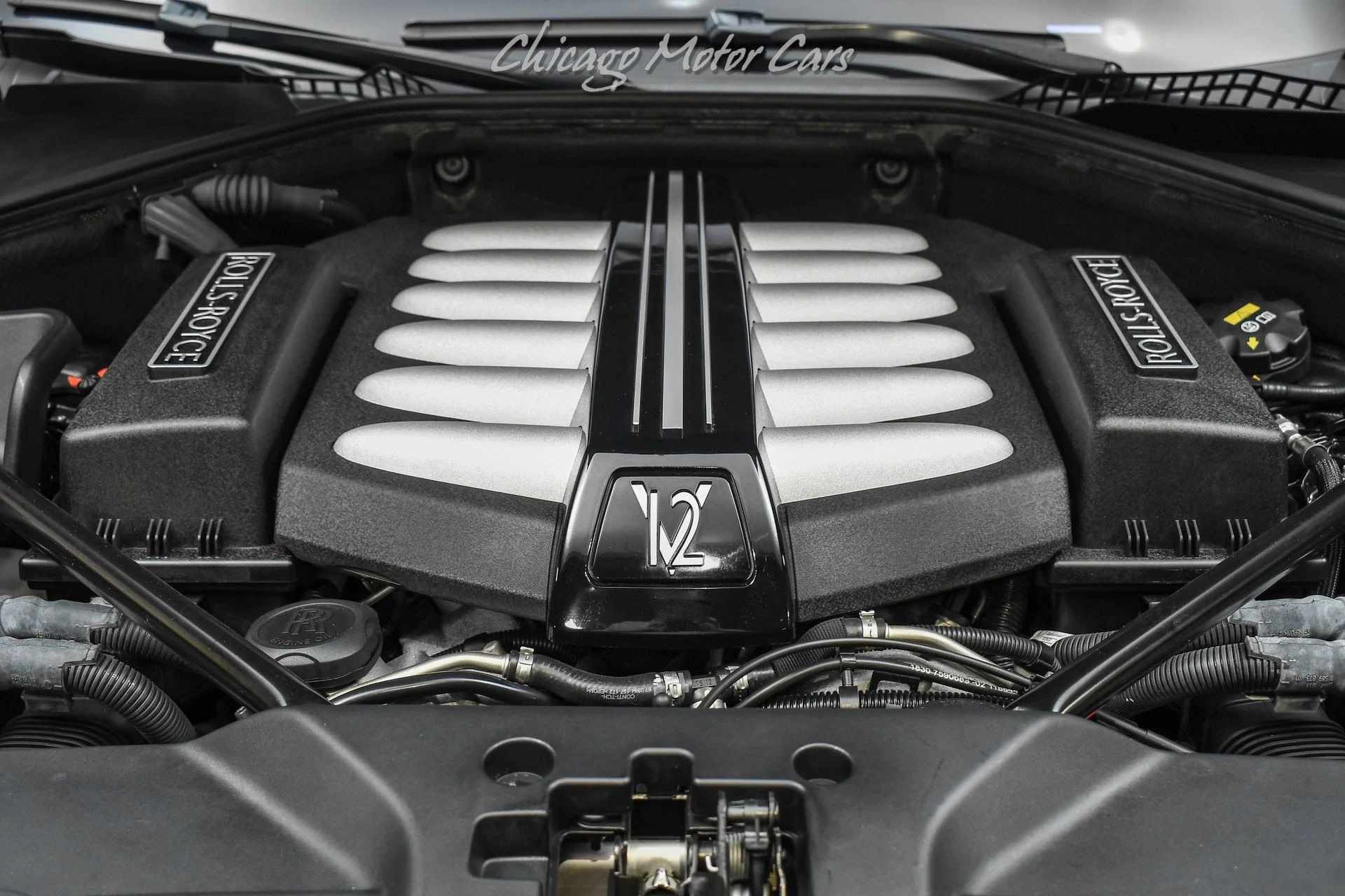 mph048_3130098700_9951_p50_l_6d570e9706