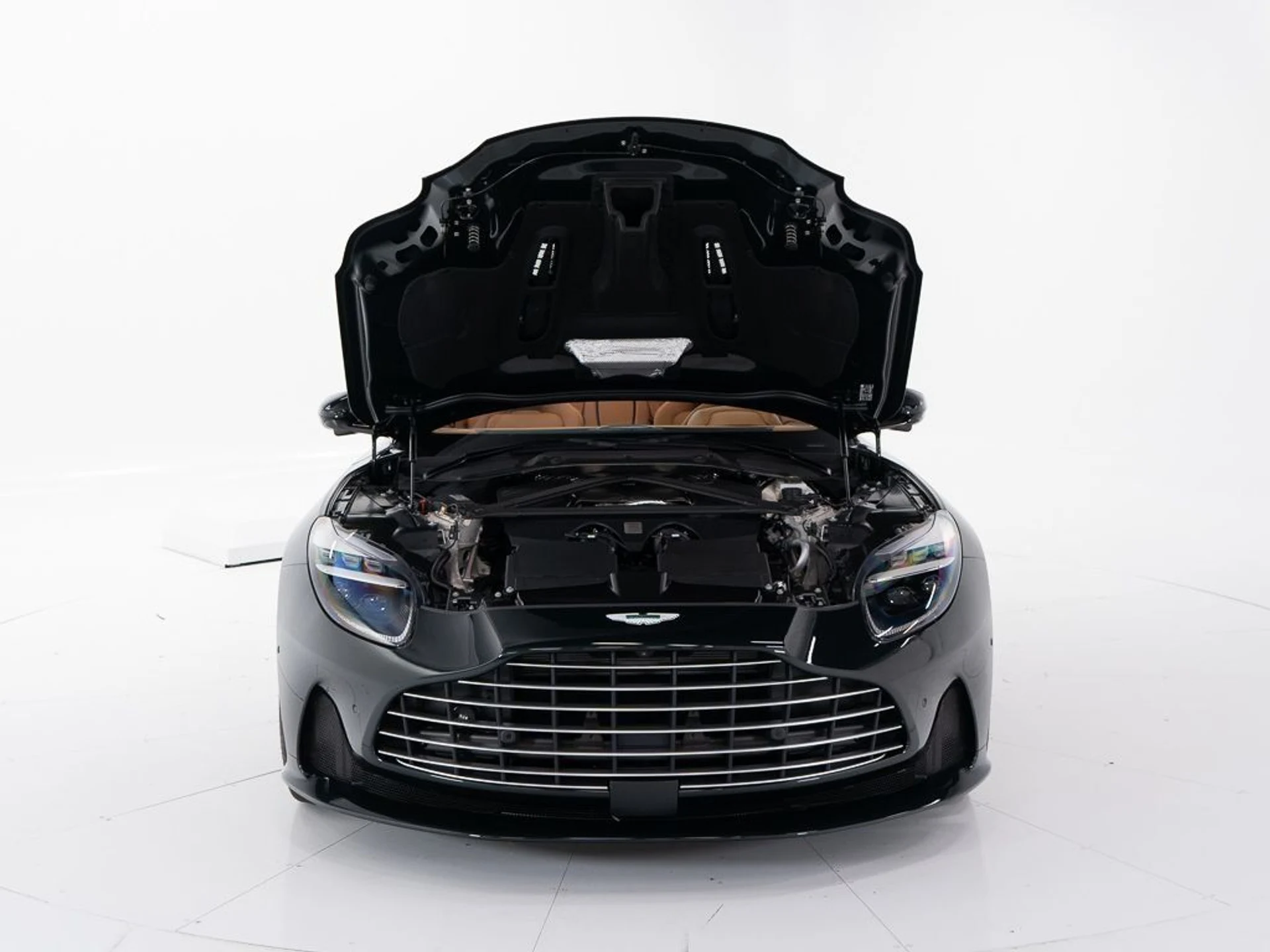 mph048_3555482379_6e51accbad039482f34ec6af561418d8_64517df7c5