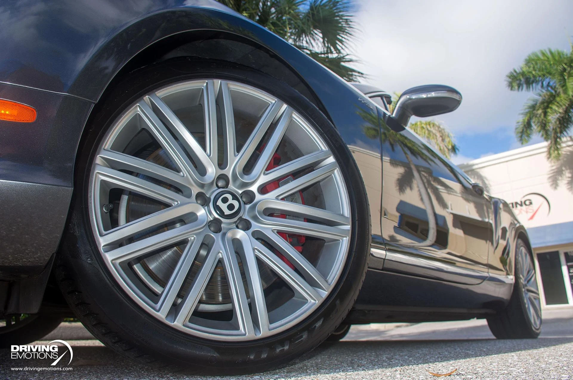 mph048_3587425451_871_p49_l_911b08df10