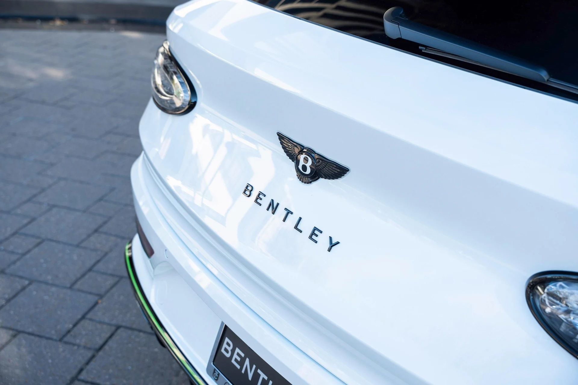 mph048_3597854044_478163256_698595b6752b933c324799d7_9f5e3913cc