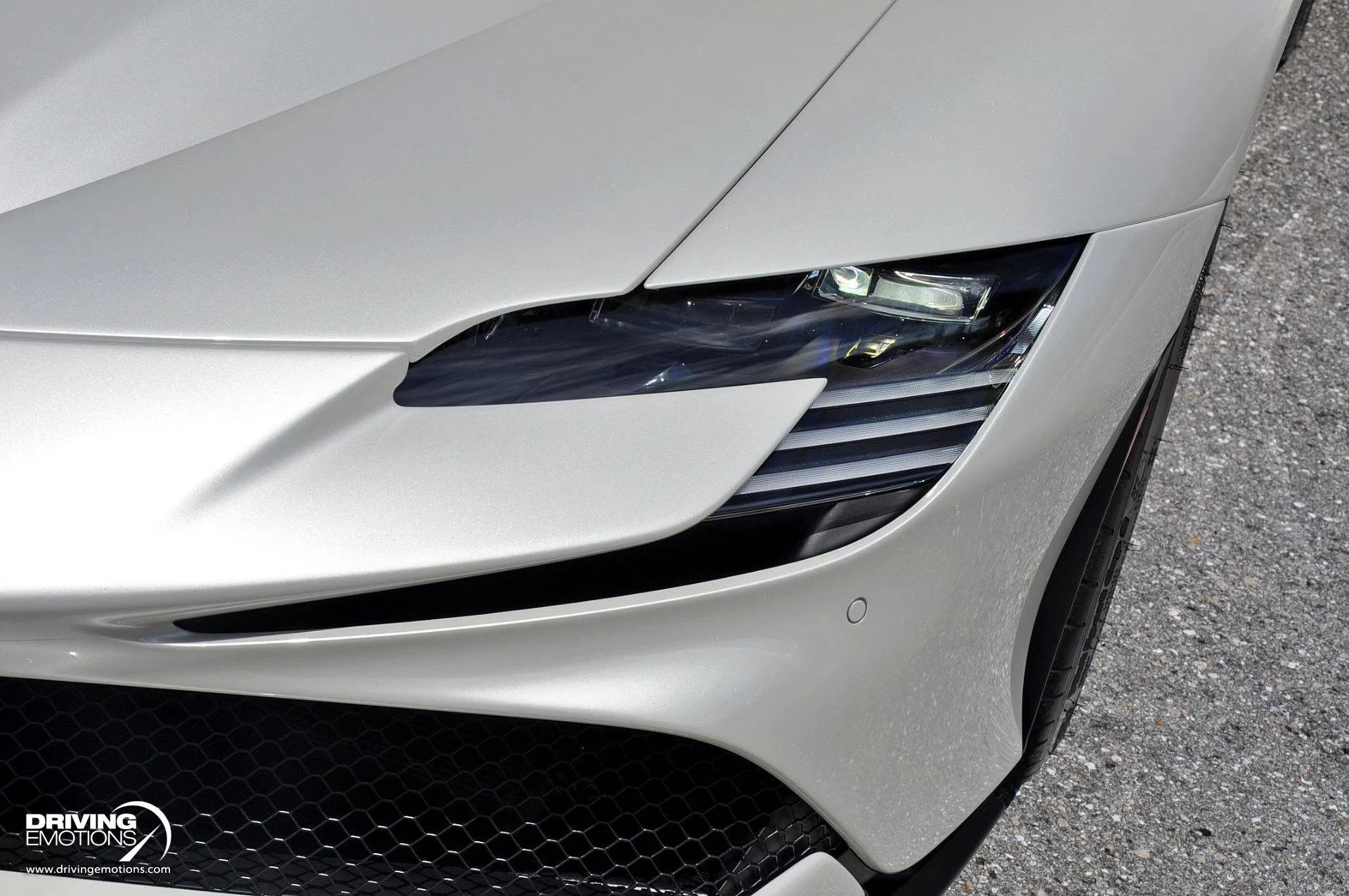 mph048_3846771899_859_p49_l_5036d1cbef