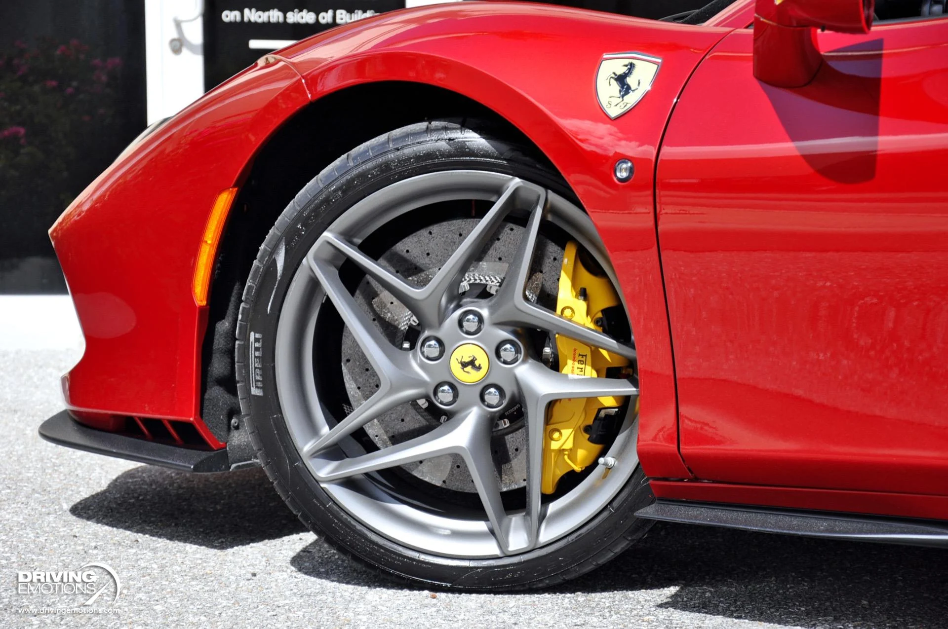 mph048_3859628728_896_p49_l_7b429e4b47