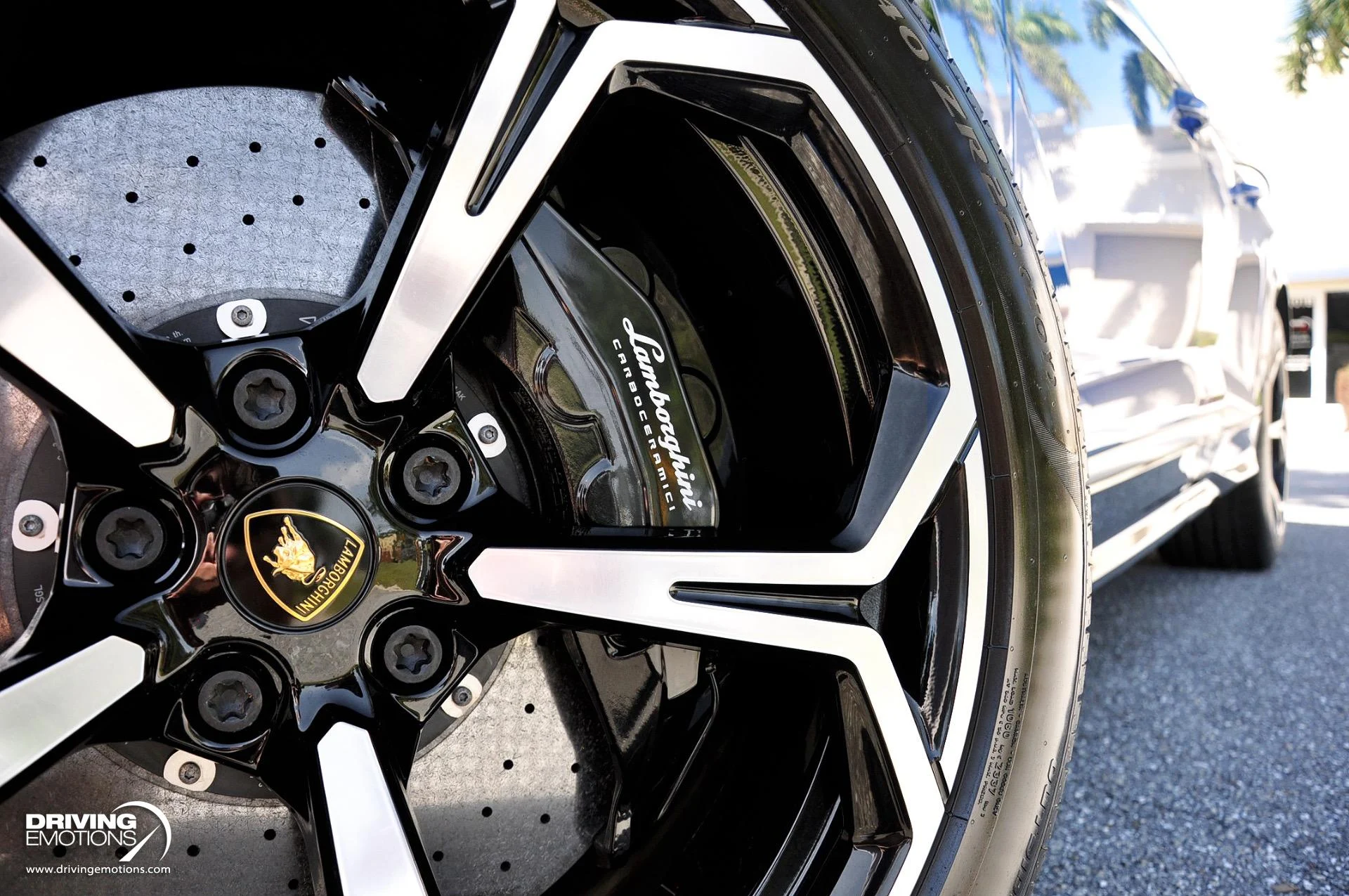 mph048_3909693614_801_p49_l_5d9c91ea7e