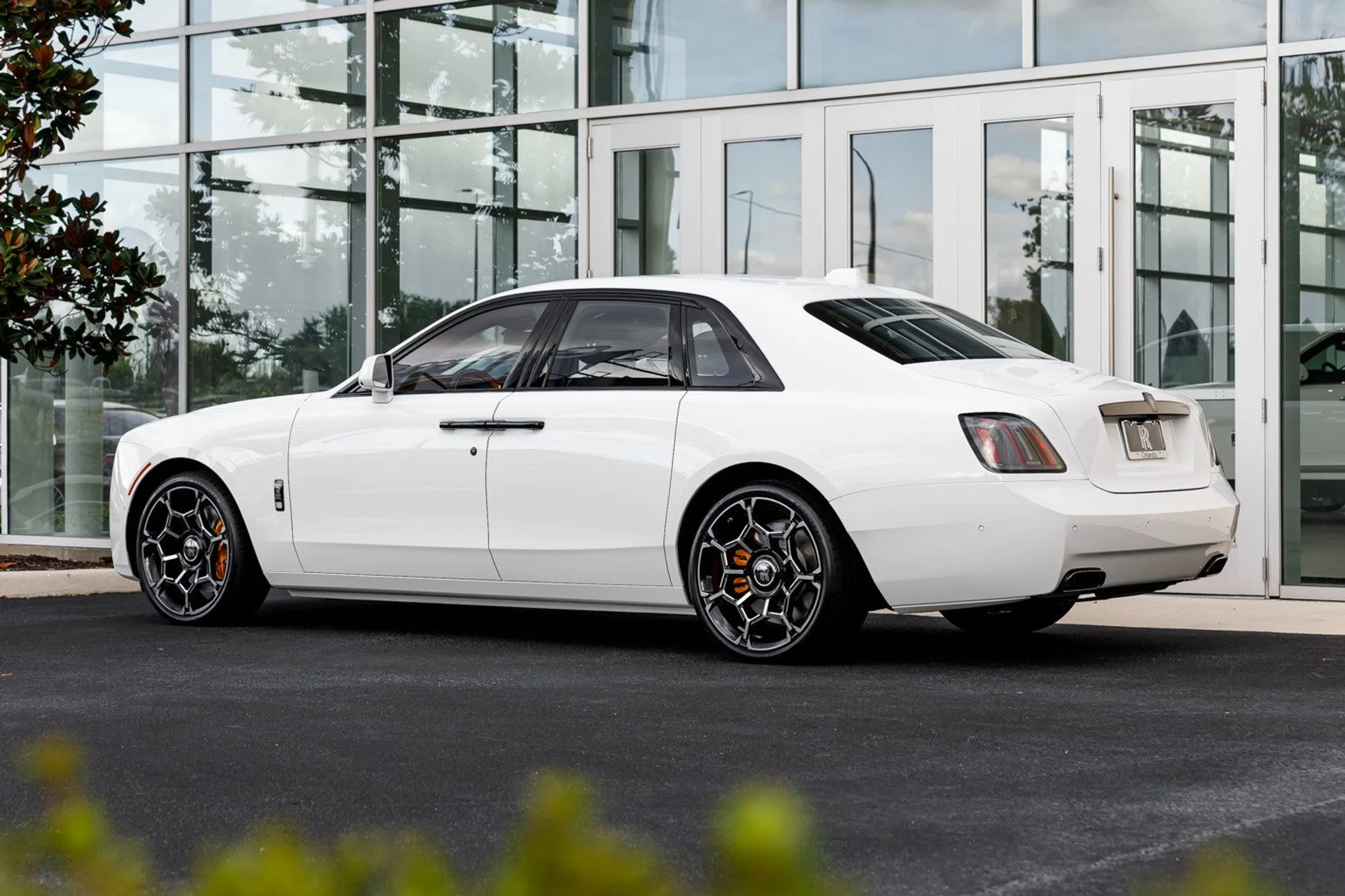 mph048_4267818323_c970f8b7a3e3d46d5527c0a1c1074c26x_733ba9b659