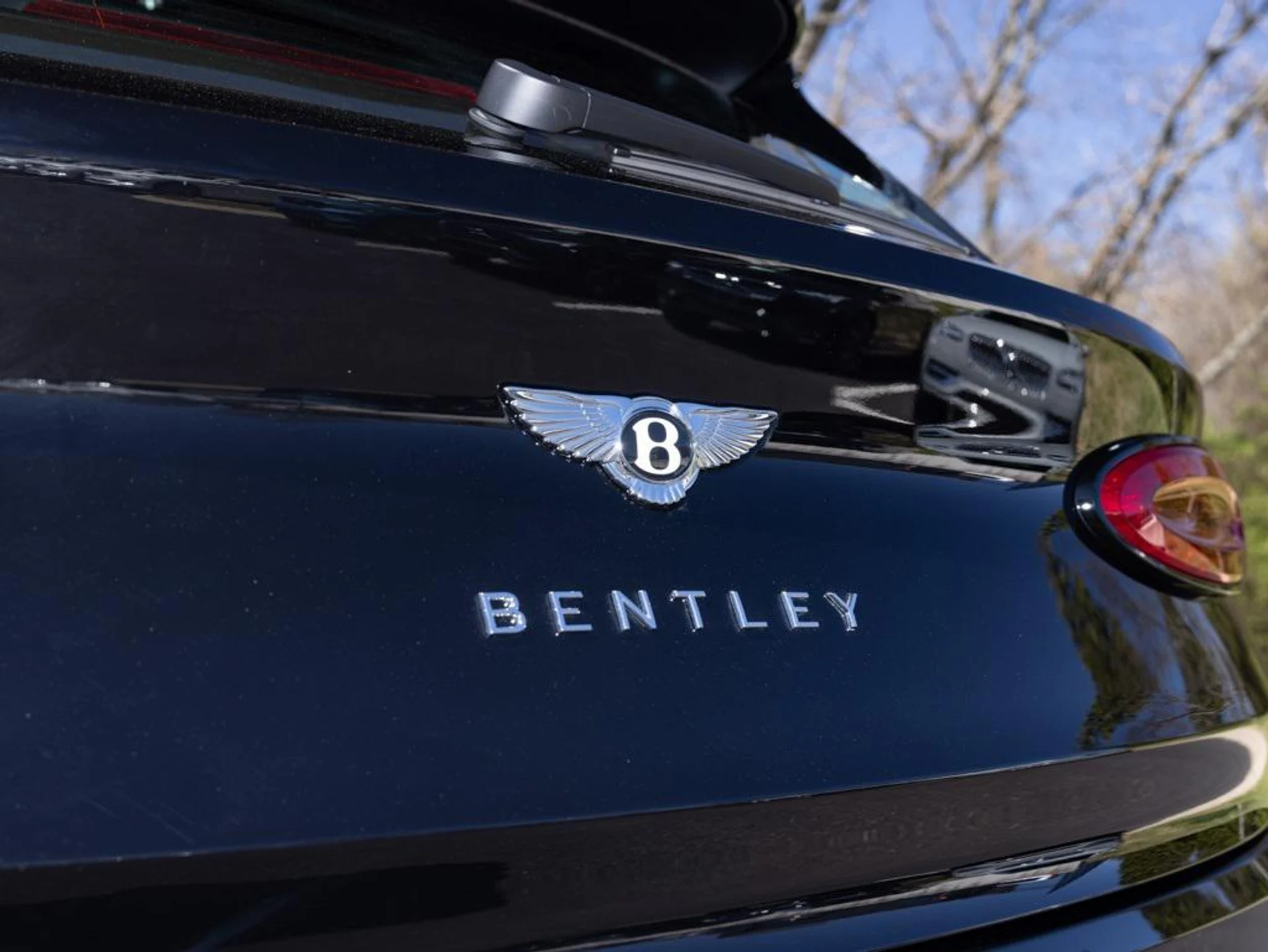 mph048_4288086454_407780630_6946445c604a396795b9f3f9_24b0cc1ee6