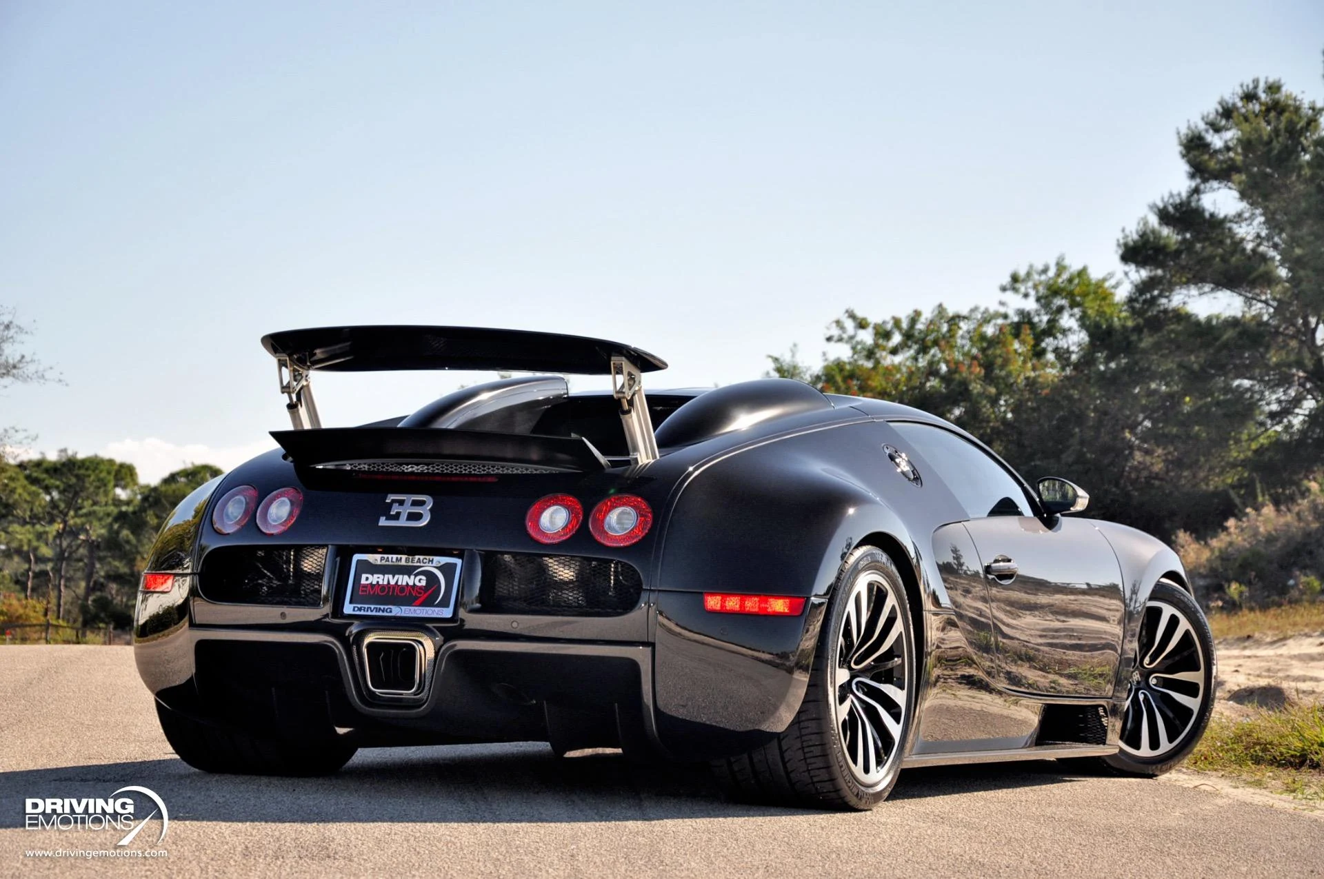 mph048_588181914_479_p49_l_b4ac7d88bd