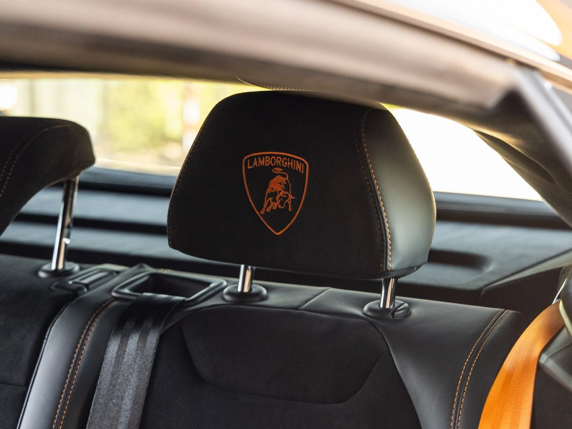 mph048_705805865_49_5628859639