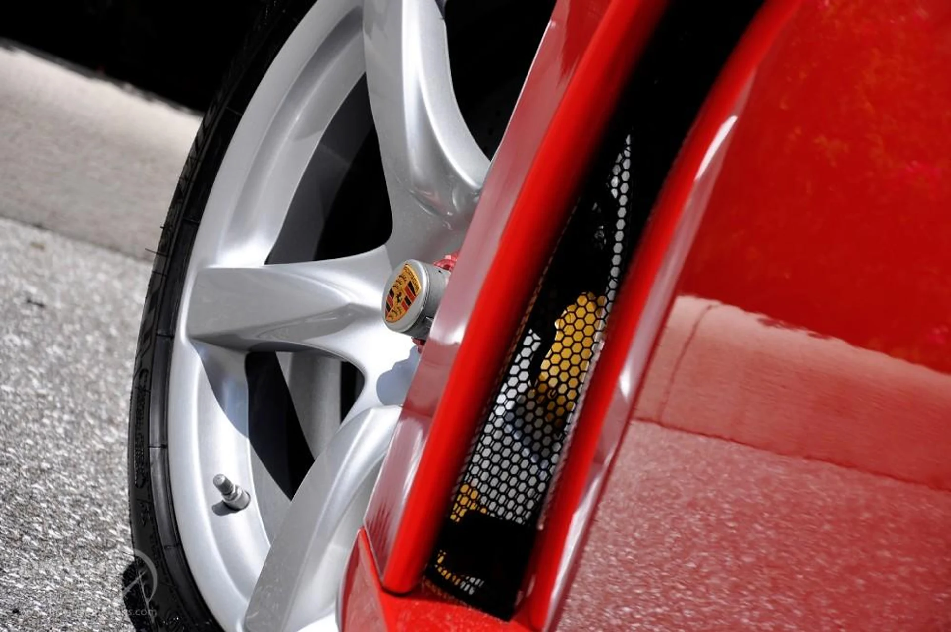 mph048_797784061_186_p49_l_c9bb207dc0