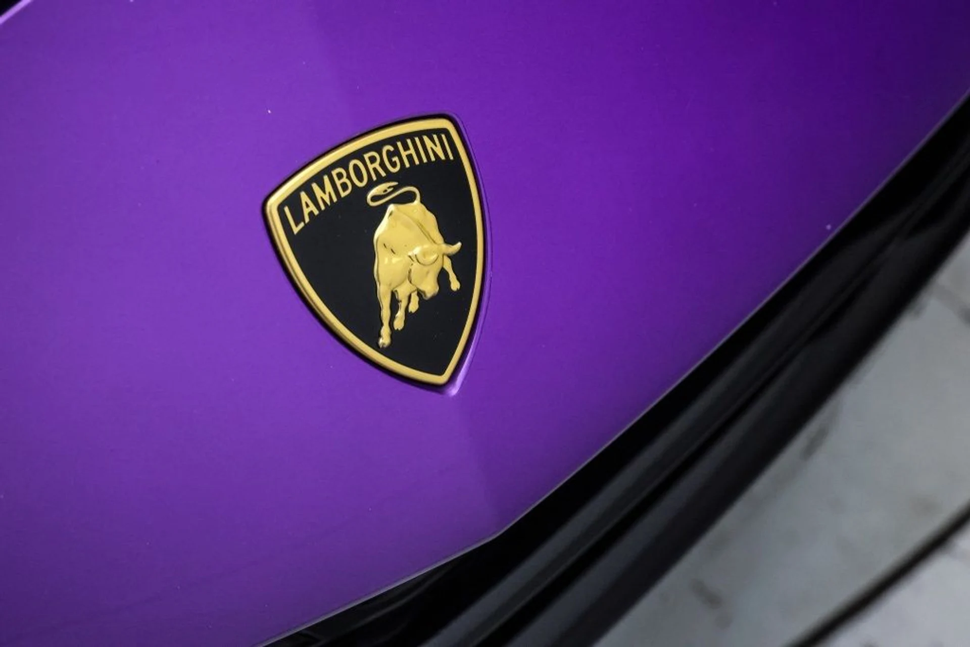 mph048_834619870_7p892bccvblst55ebpiir0bck49f_94dbf97c1e