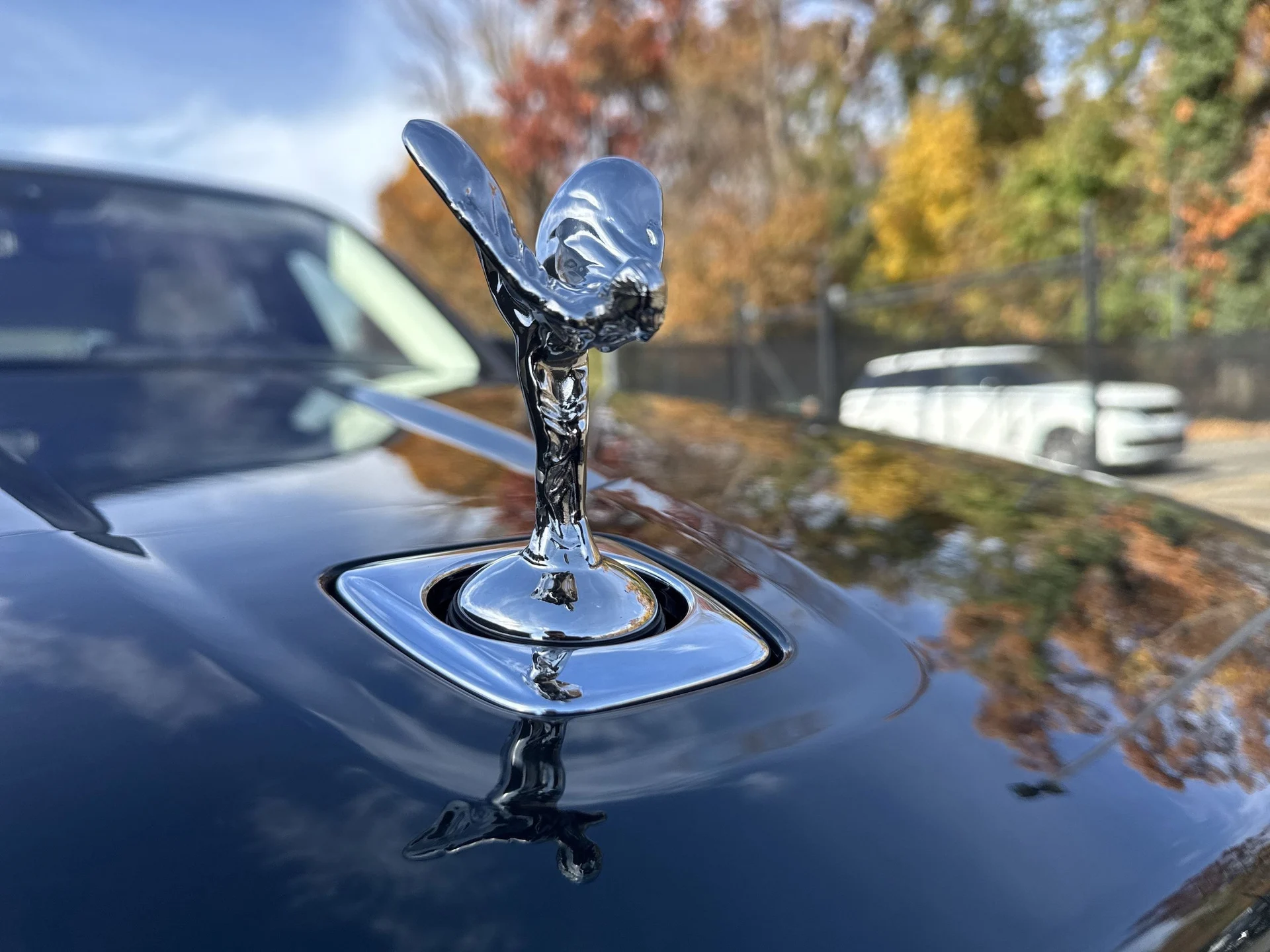 mph049_1655408846_f6d66b16c920929146baf984eb0a7dd6x_c5cc8a026a