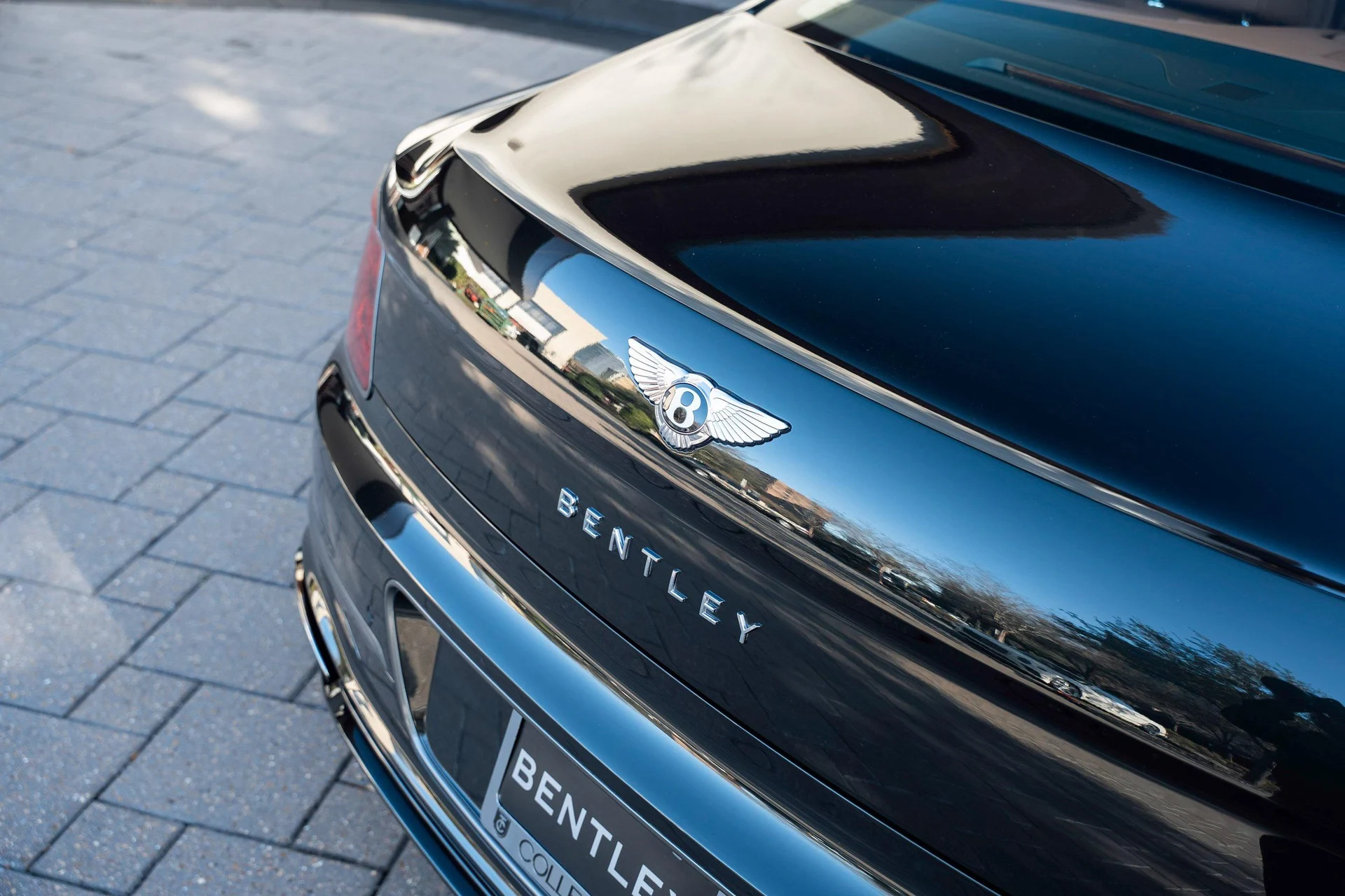 mph049_1945681927_489302490_698435566d31c9793f9d07cc_9298a6a36f