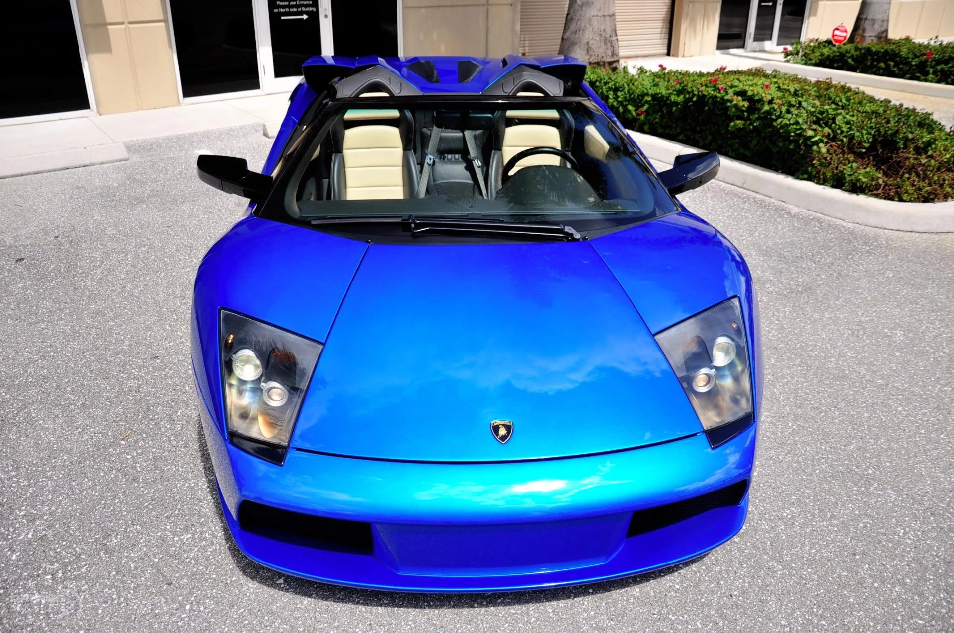 mph049_2217177060_325_p50_l_bfa8b14cfb
