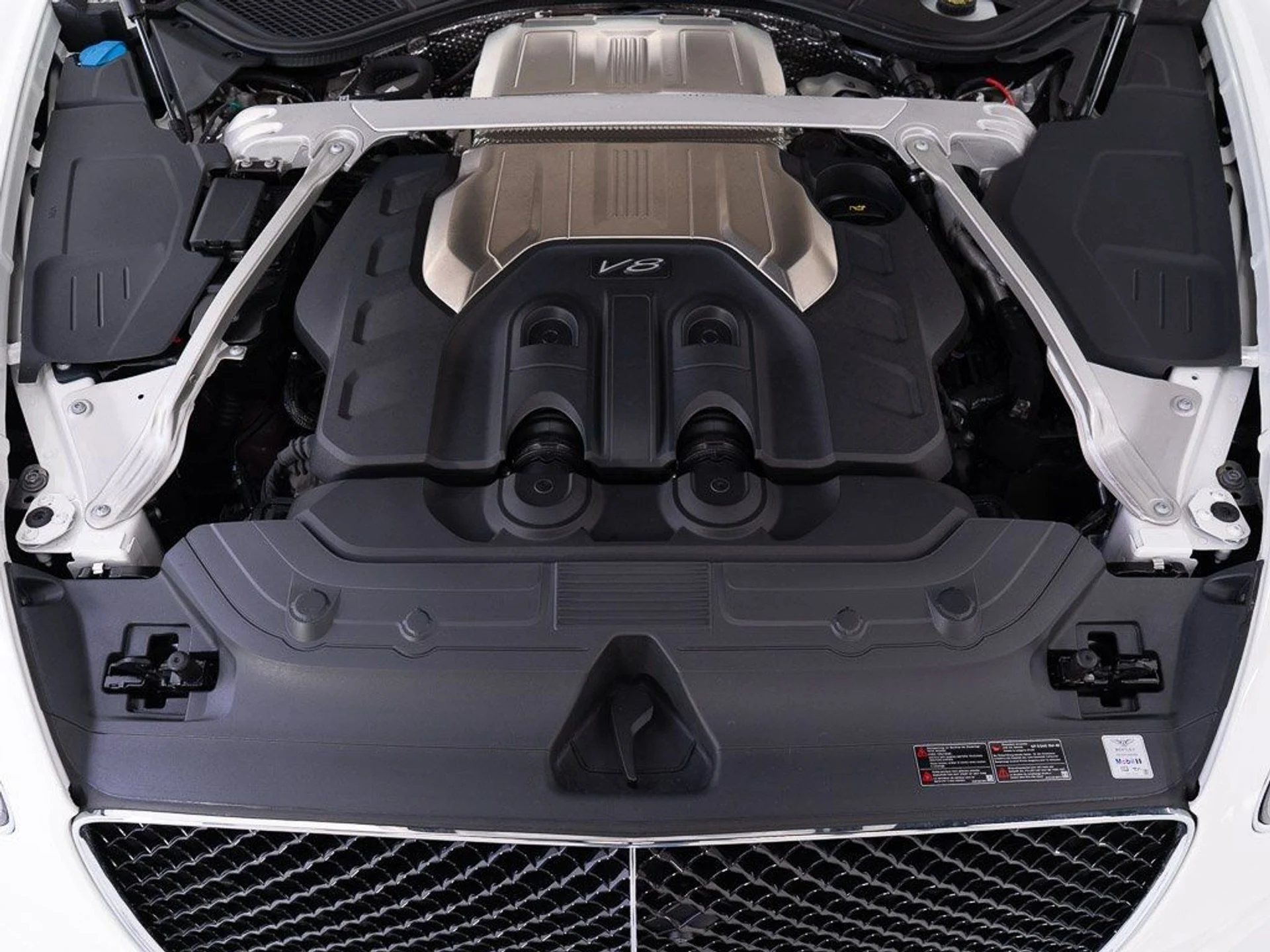 mph049_2278348968_6fbfc67672fbabb33cdec83b2aa86d47_732d23a5c8