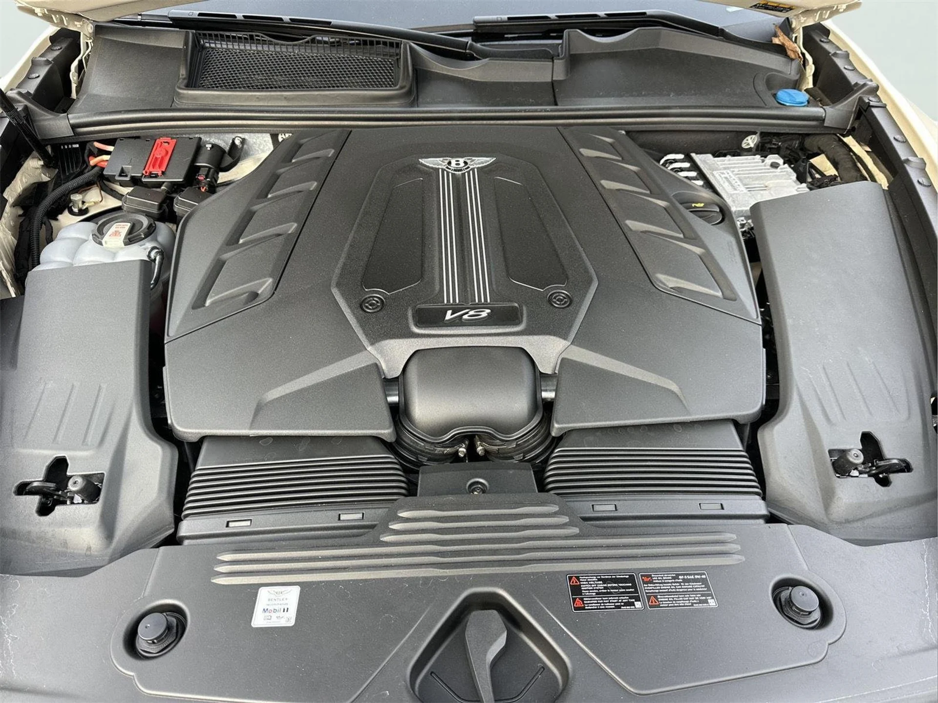 mph049_2334961435_f80cf92bc9f08dffb90d70df8efea3a5_1369f2d372