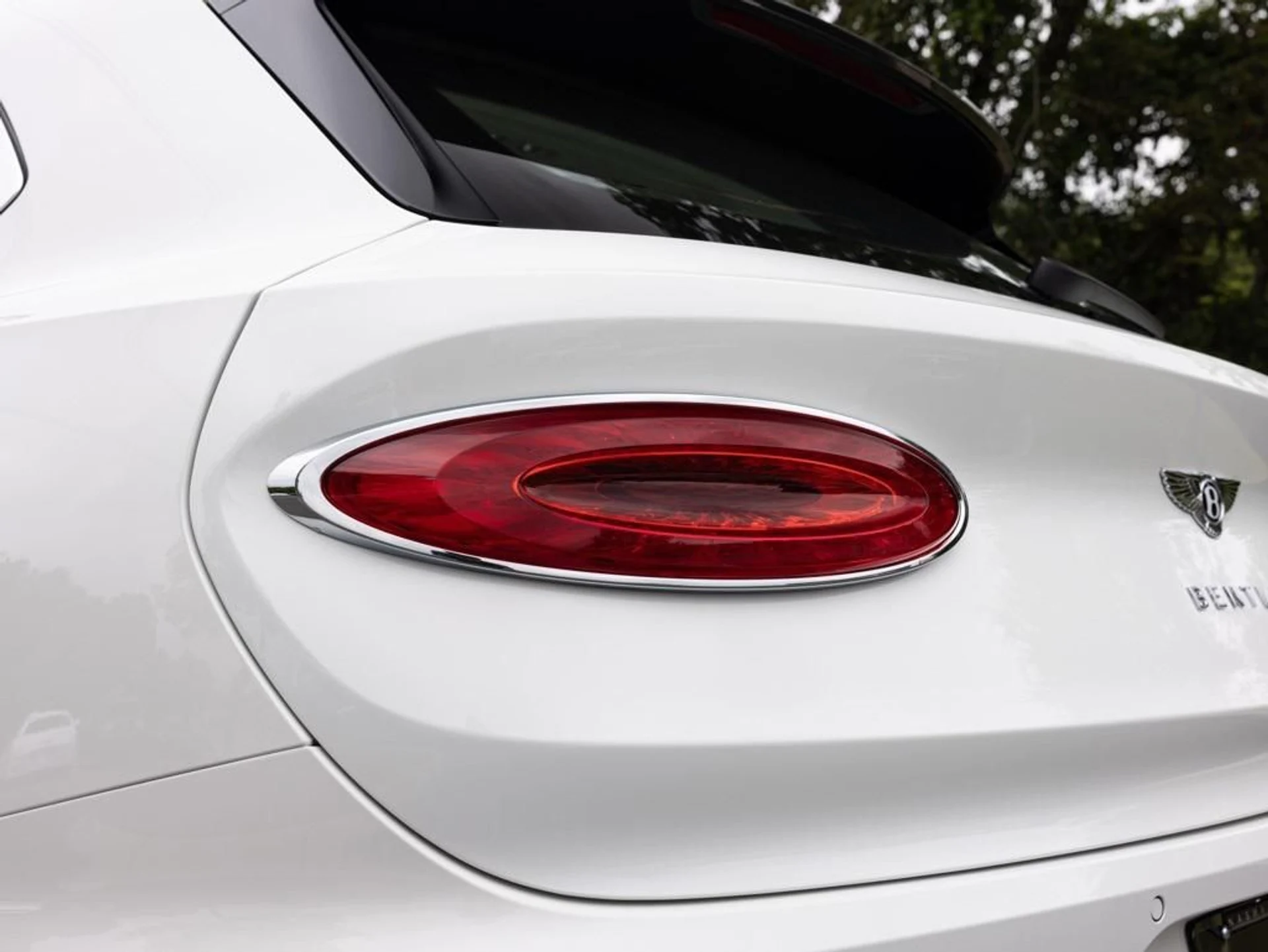 mph049_2484646678_444557824_688defb0b8367c48735ada1a_703a394e78