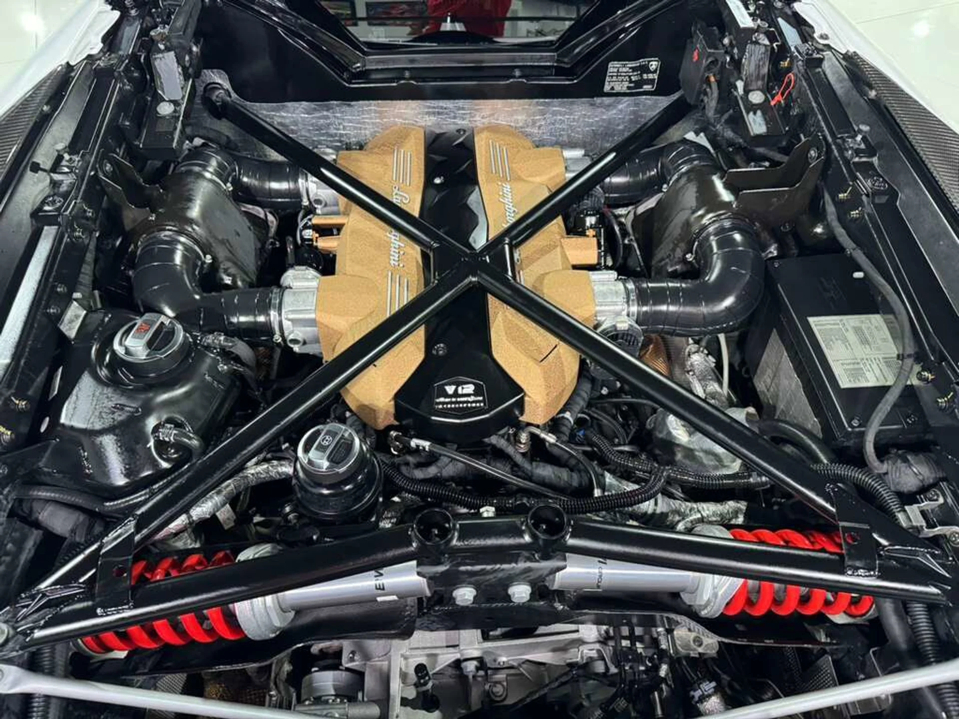 mph049_2647392571_574ec1bf2d71bfd67b44016e590c5a05_d531d011b8