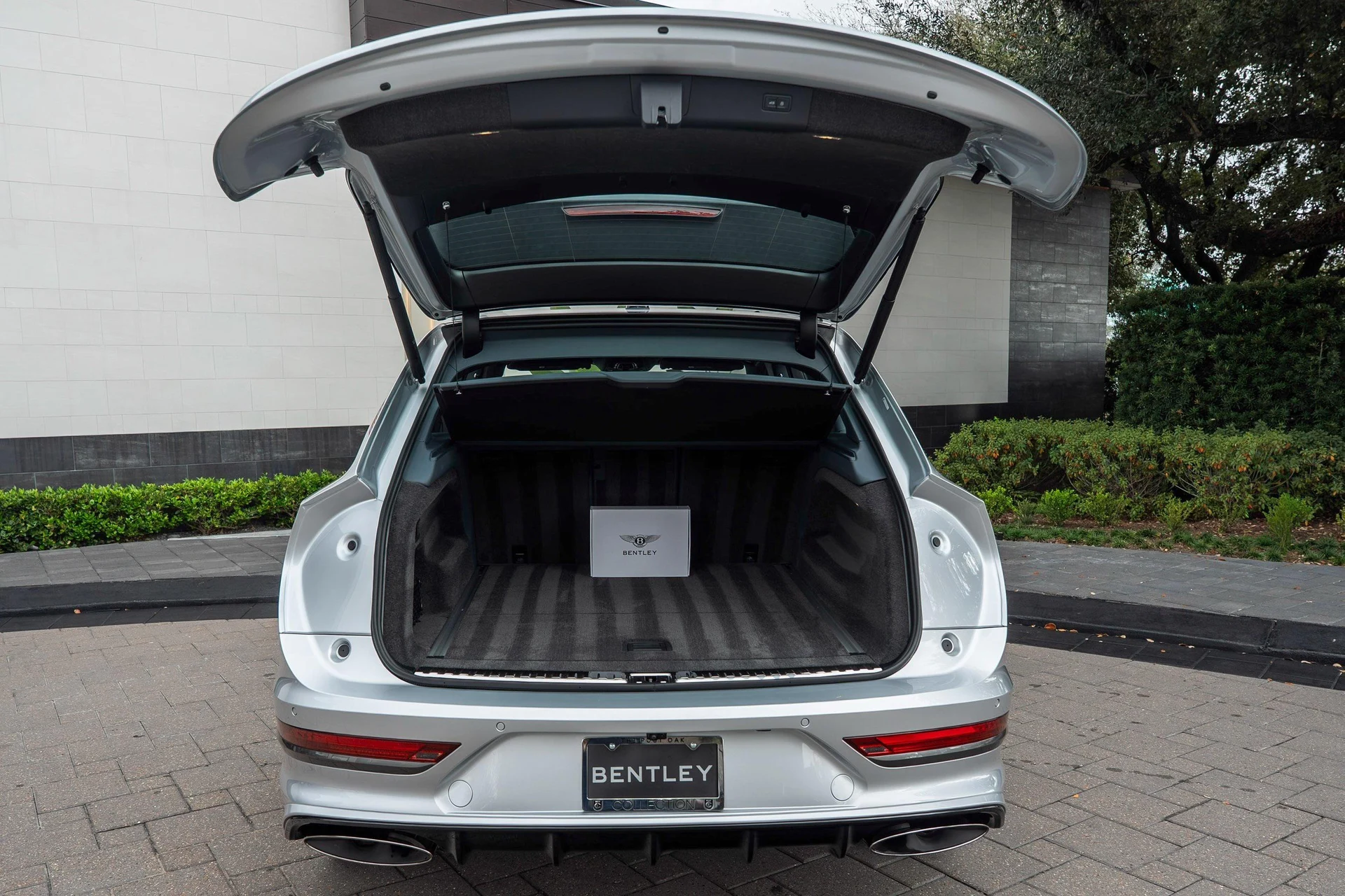 mph049_2711076839_477619924_6954c0244e73cd9f103f4ff2_3bb6546cd5