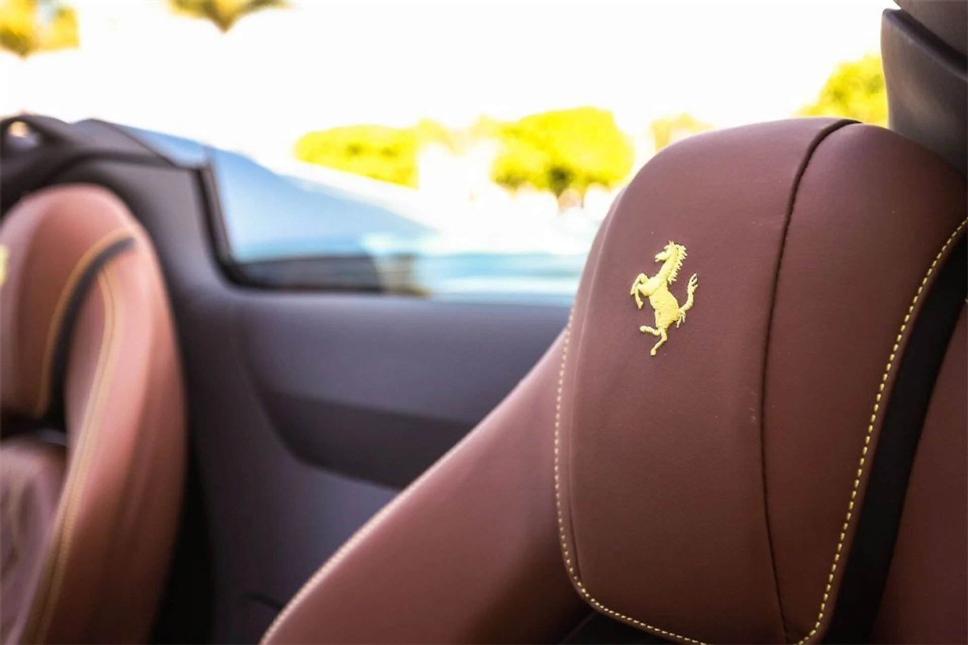 mph049_2889975586_388beee90a1bd1542425f120e06269aa_2cbaee3e83