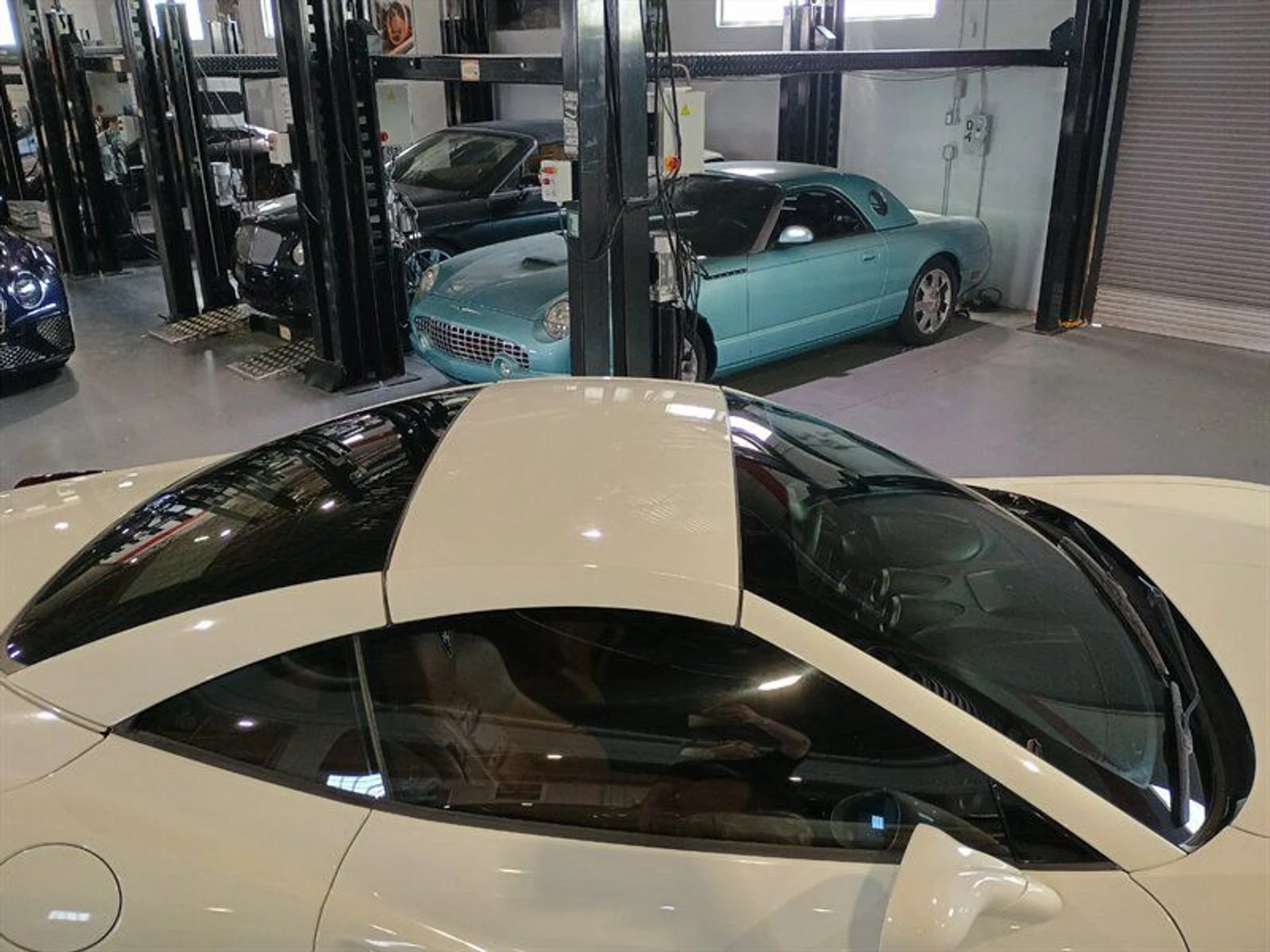 mph049_3125392584_1e3778b236_800_842352dbe5