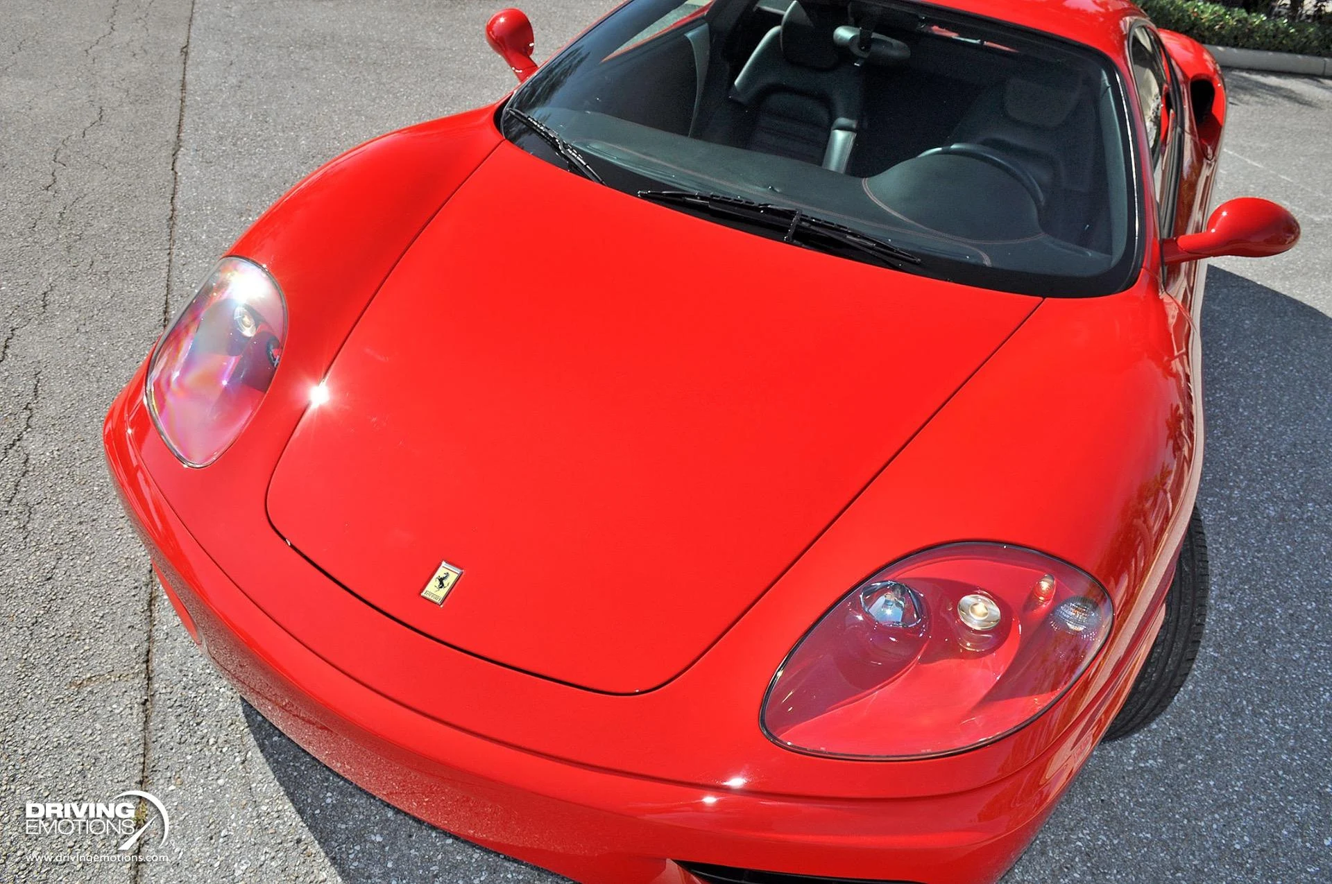 mph049_3400167329_824_p50_l_6af294d6f0