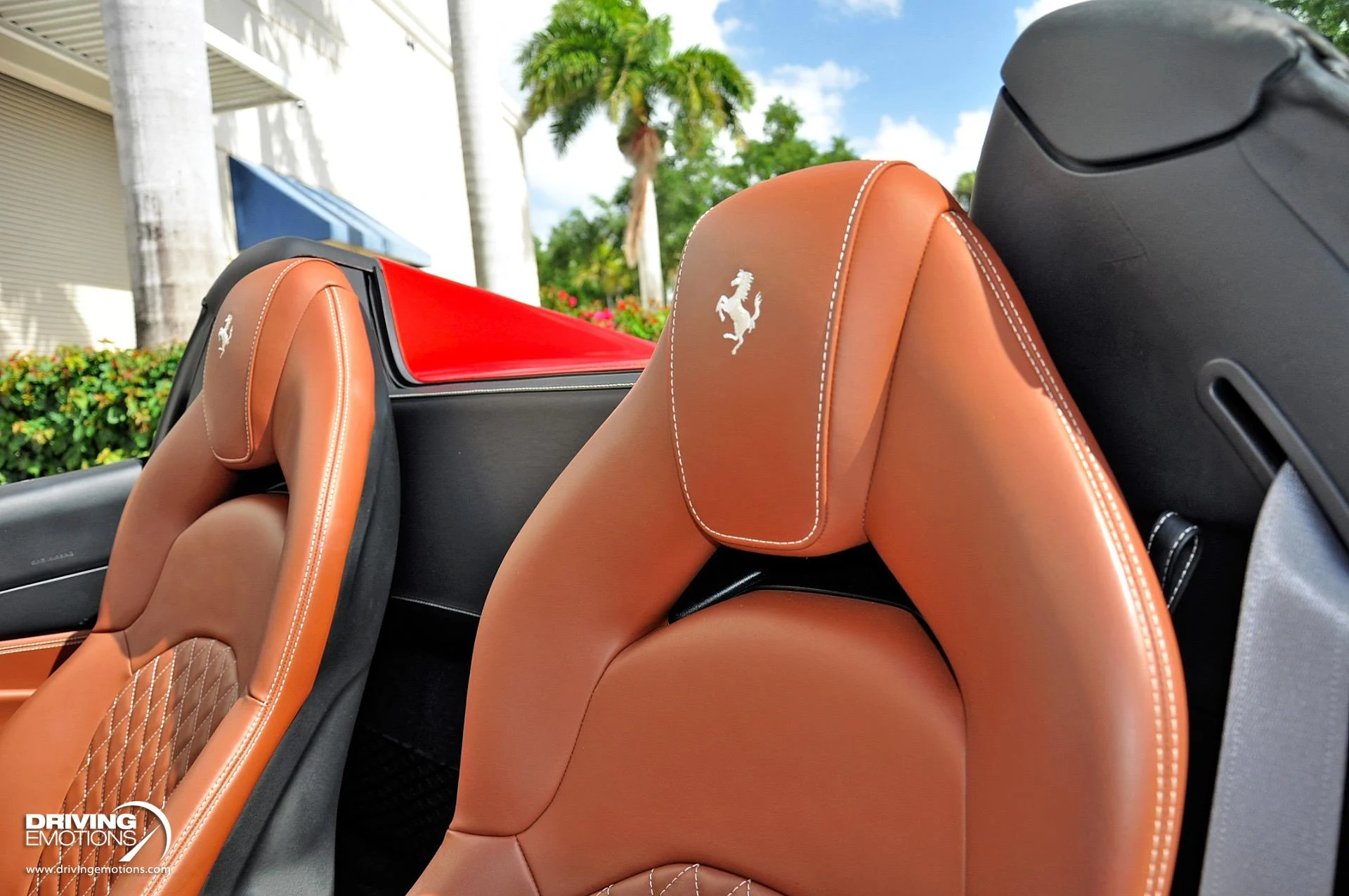 mph049_3401910009_896_p50_l_748a0ef933