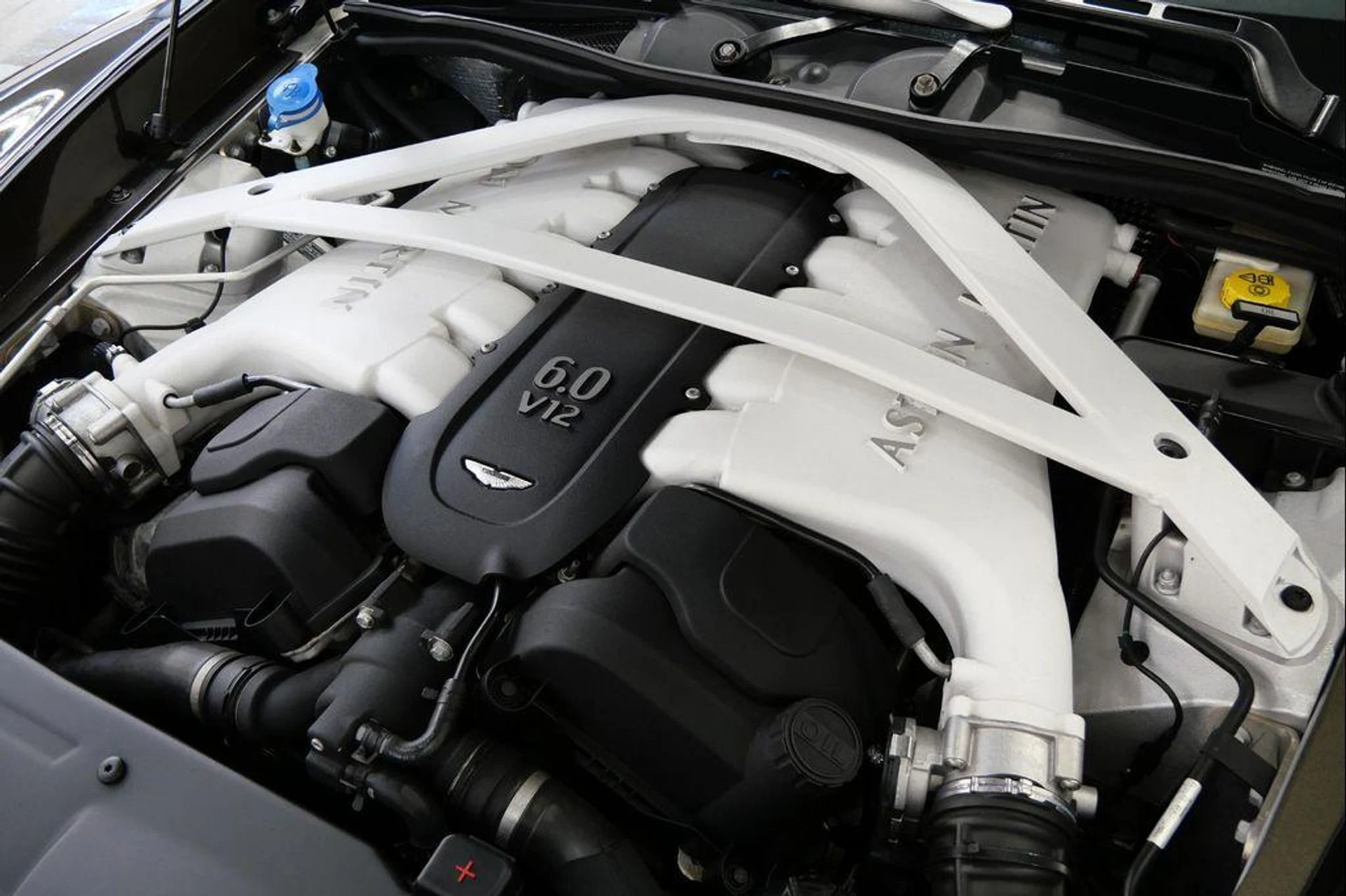 mph049_3408946915_W_Hwj_G_Xxrhx4_D_Nia_Mtitz05nu_ZI_8c00a029cc