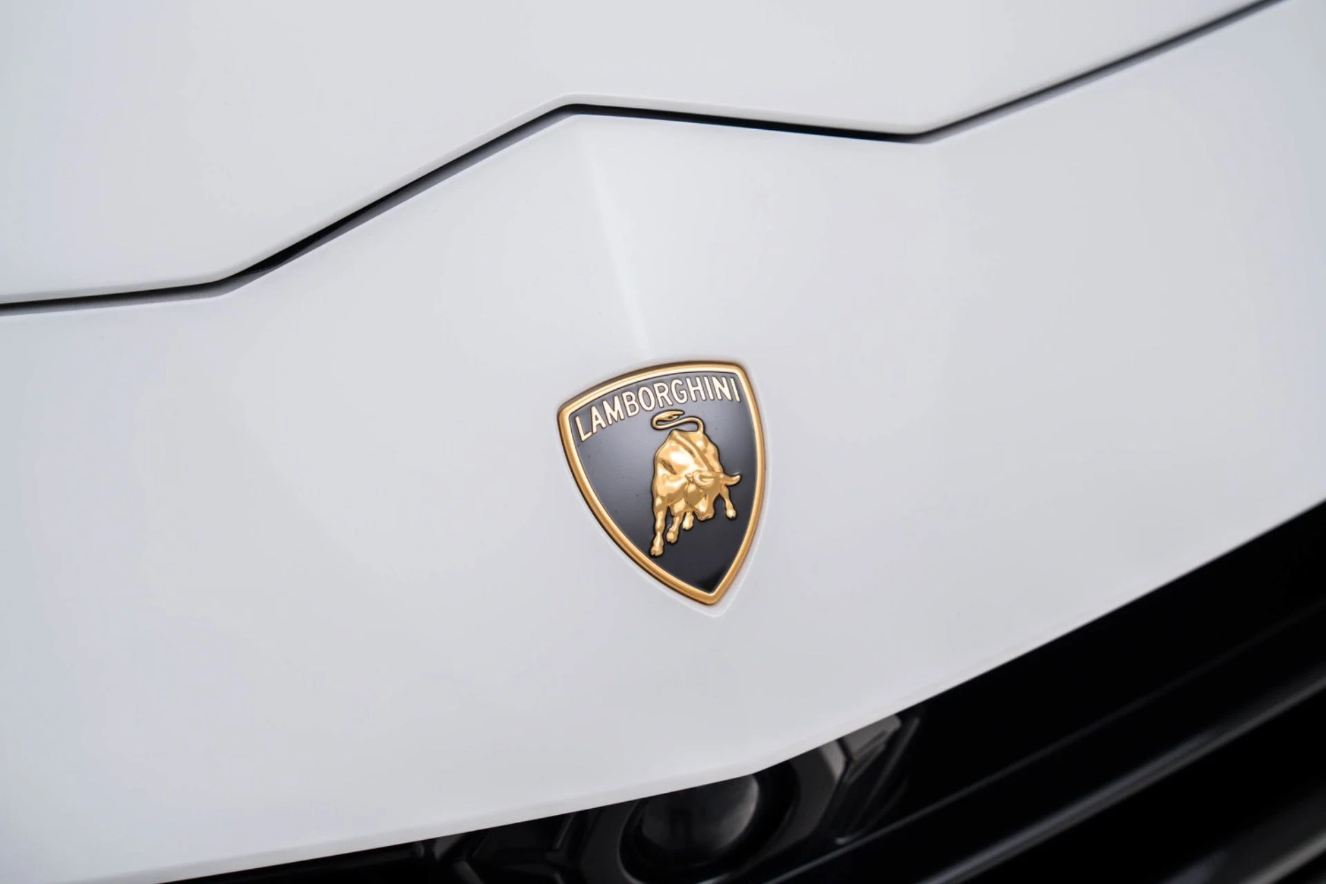 mph049_3489150507_Used_2024_Lamborghini_Urus_Performante_1775674462_f0e4284478