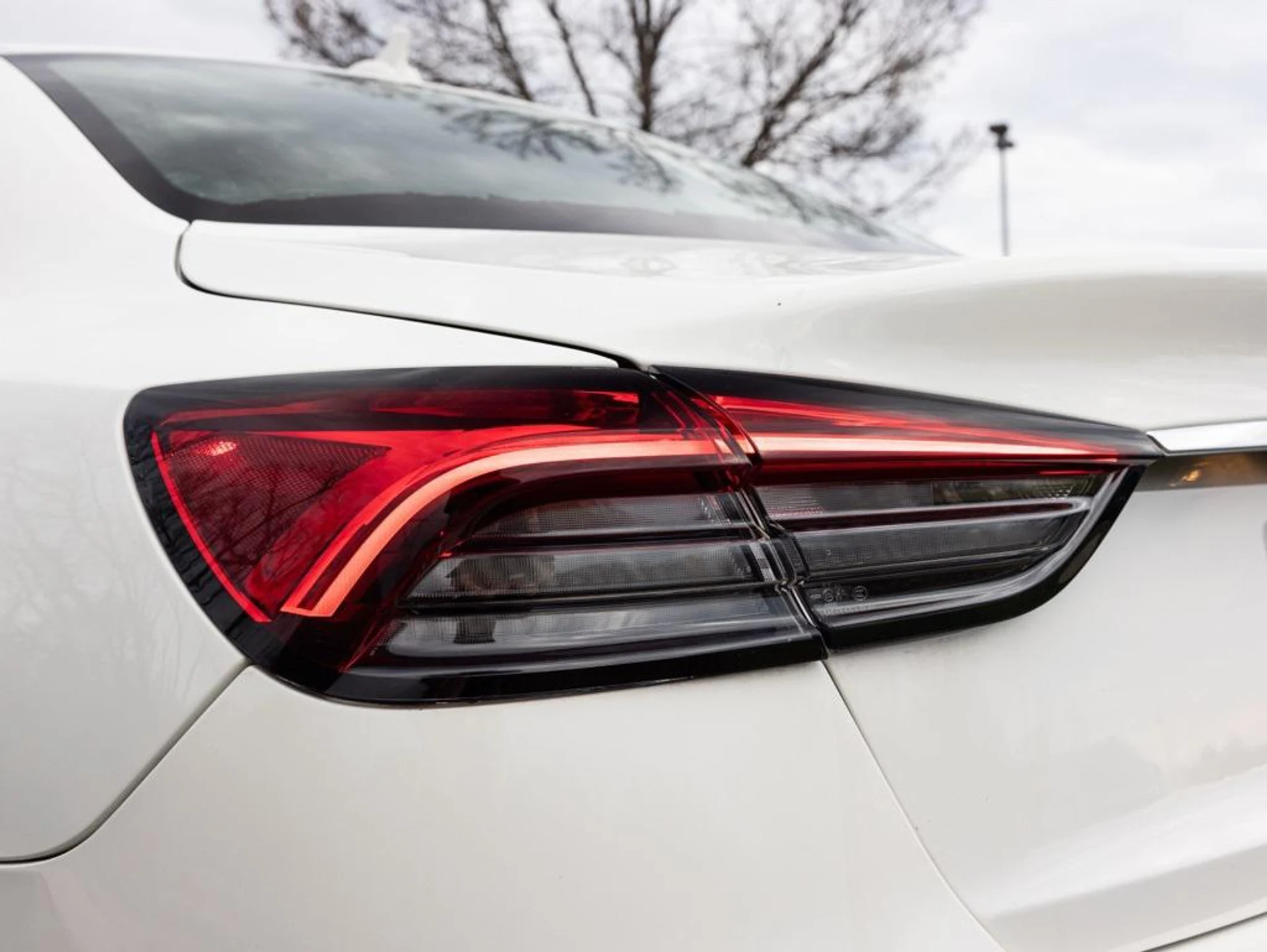 mph049_3769293881_472374605_6925efd942064a968b9b85d9_d4f7c96d27