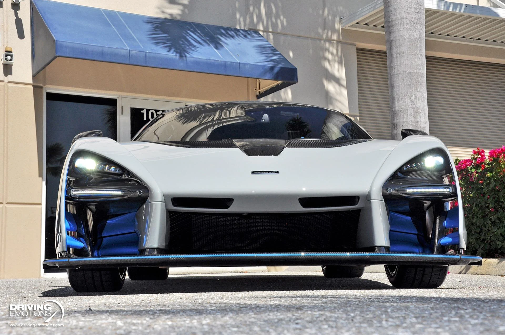 mph049_3792808847_683_p50_l_cad32f727f