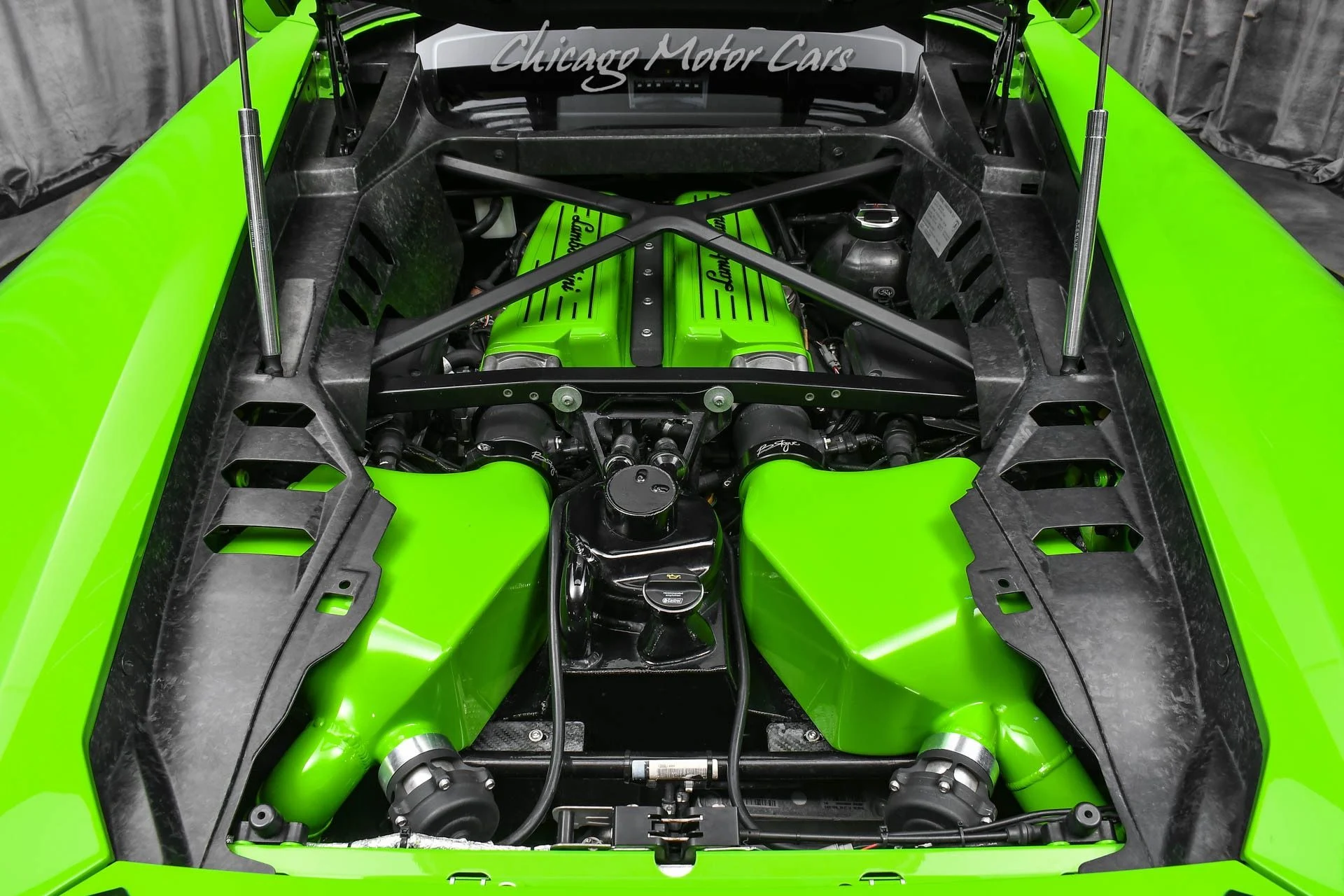 mph049_3861618867_13494_p50_l_dec21a8ff8