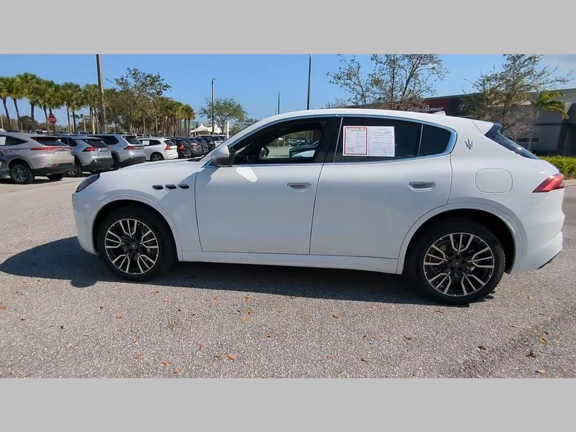 mph049_3915266339_94a19d6856a29096f822e9786fae37ff_d15463a445