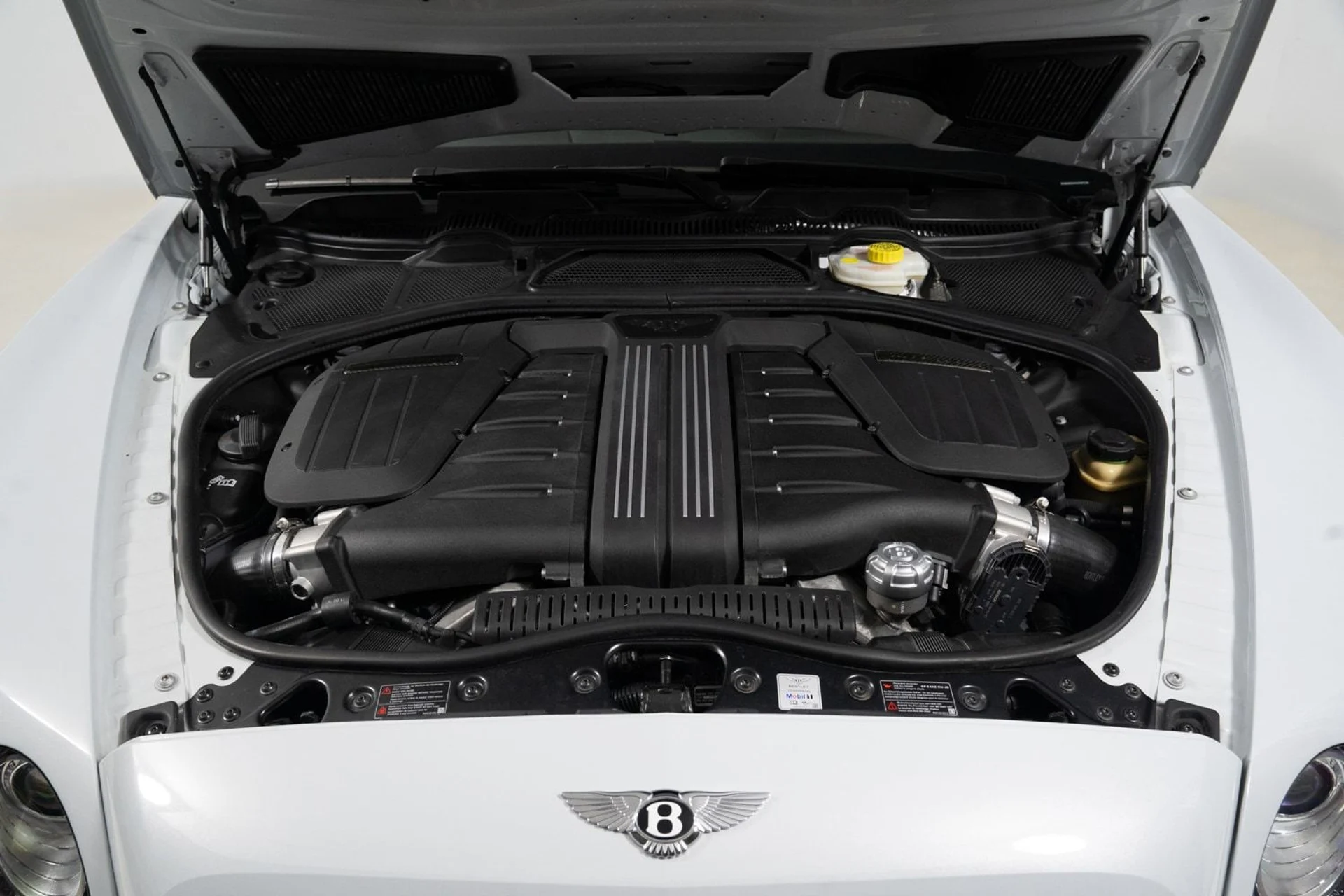 mph049_4231209846_f1167452e0c44ccfbf06d44bc110d7e4_fe8a5af519