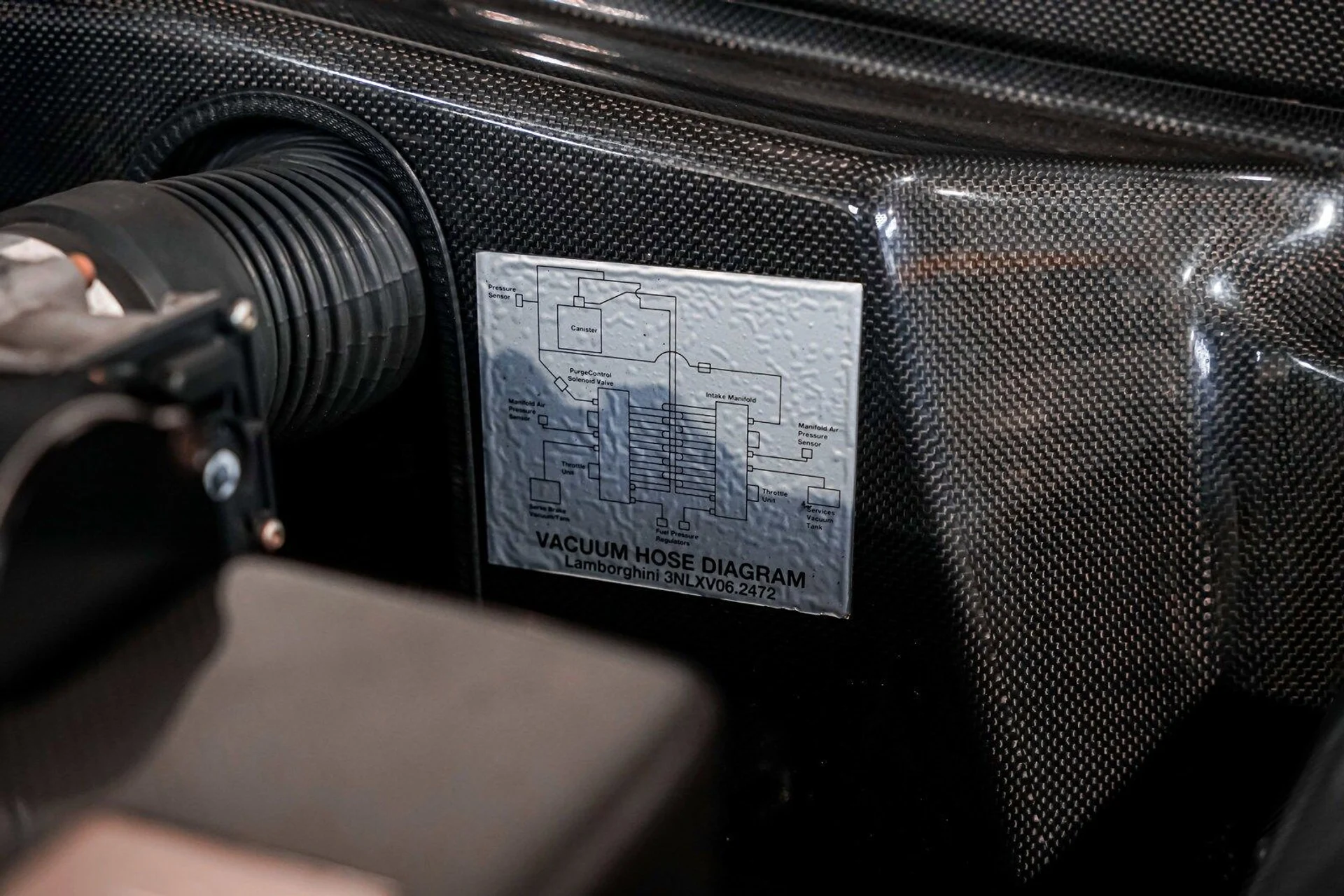 mph049_4244995451_96ad41c456031b181702f3c589f1a96bx_0b5f2d5a29