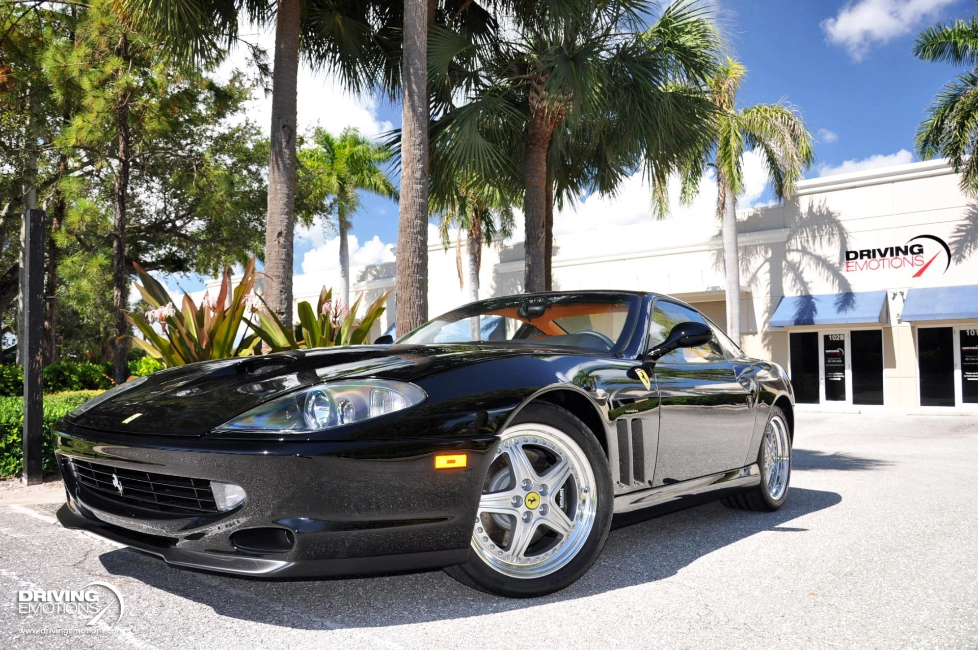 mph049_754156813_284_p50_l_2d0aca6cc8