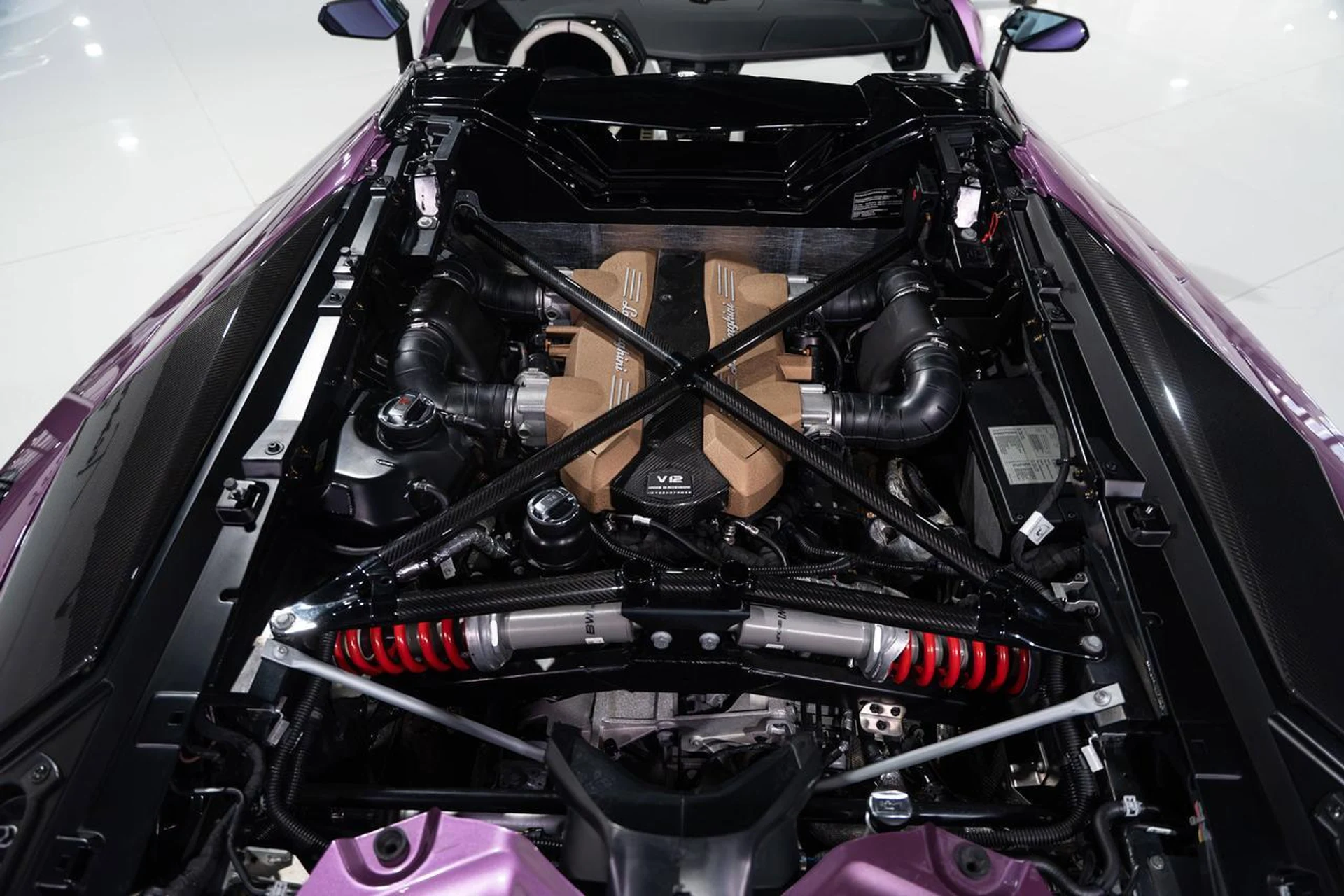 mph049_929265616_77f447a3254bdc2f233059c73deb4060_f4a4dc140a