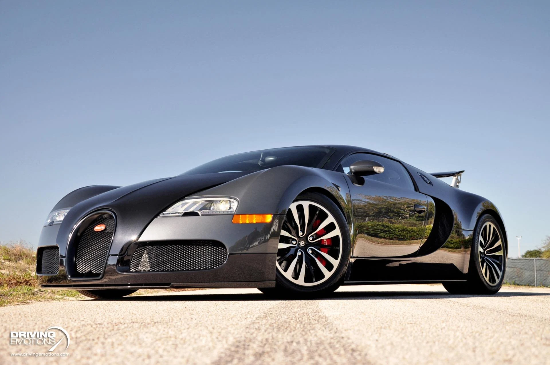 mph050_1065448338_479_p51_l_2ce84a48da