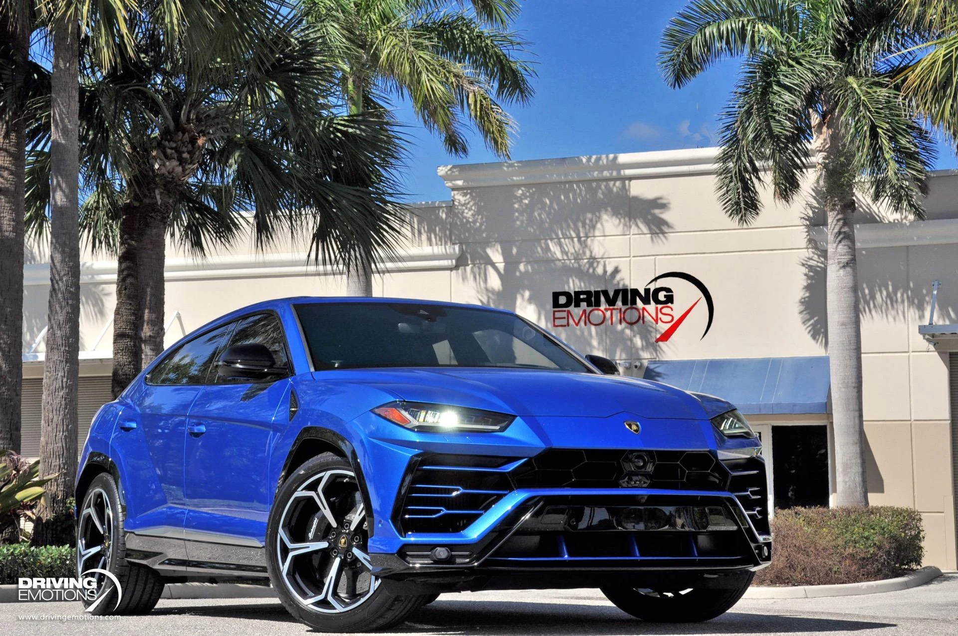 mph050_1207834461_801_p51_l_01e75032d0